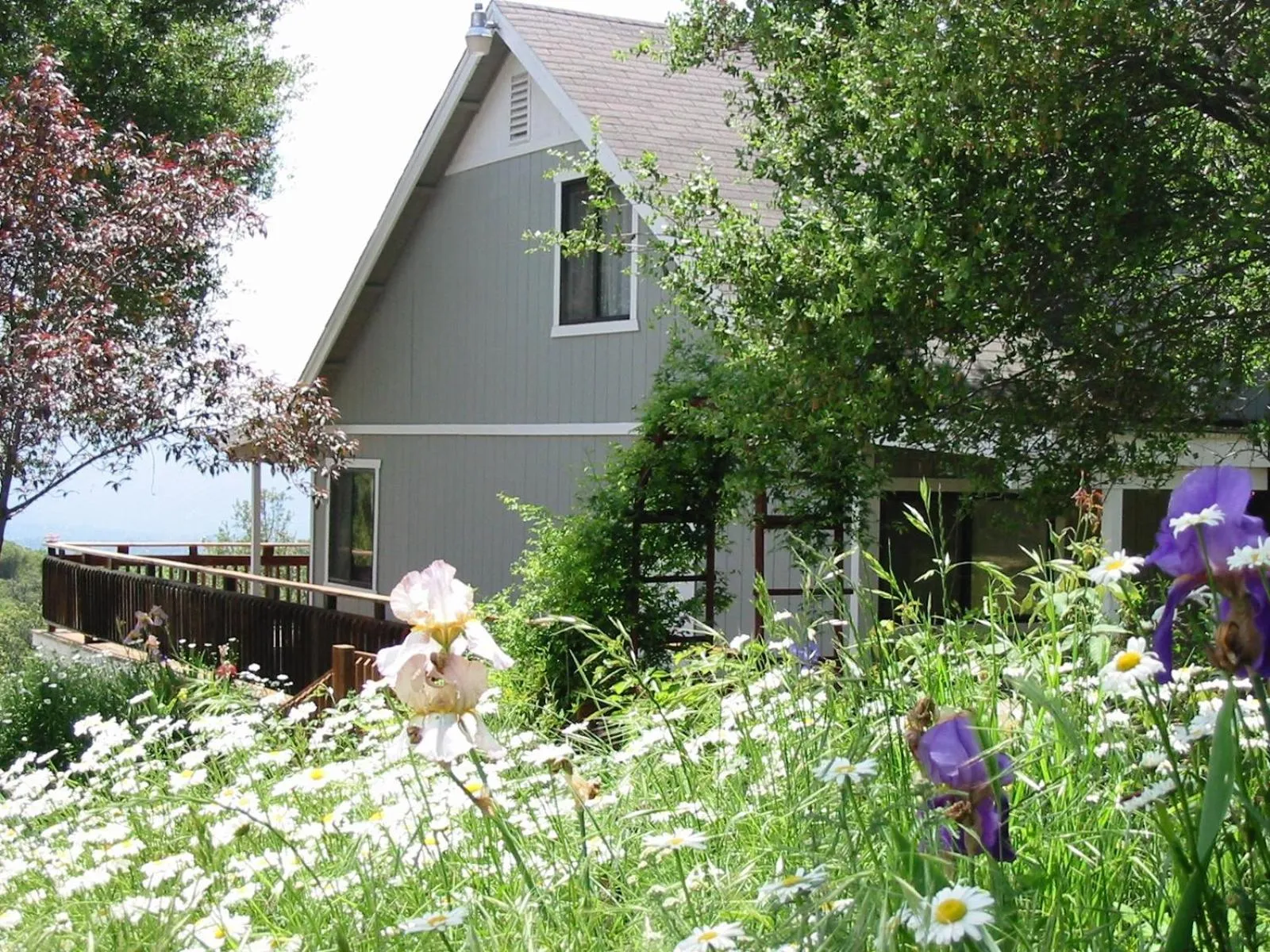 Garden in Sierra Mountain Lodge - Vacation Rentals - Yosemite