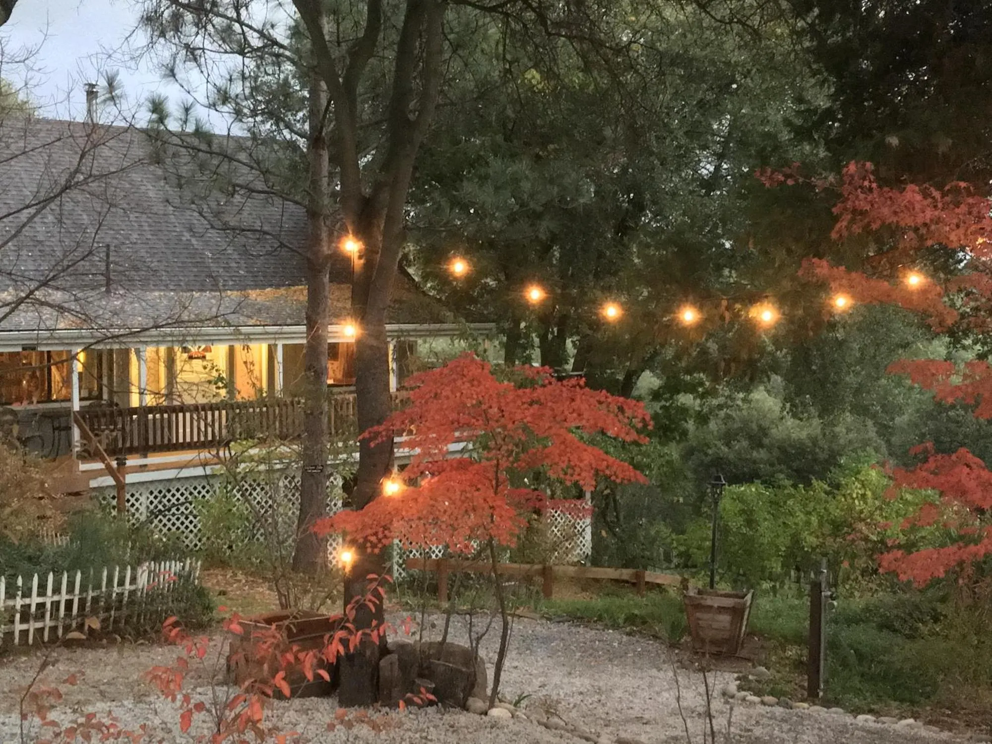 Garden in Sierra Mountain Lodge - Vacation Rentals - Yosemite