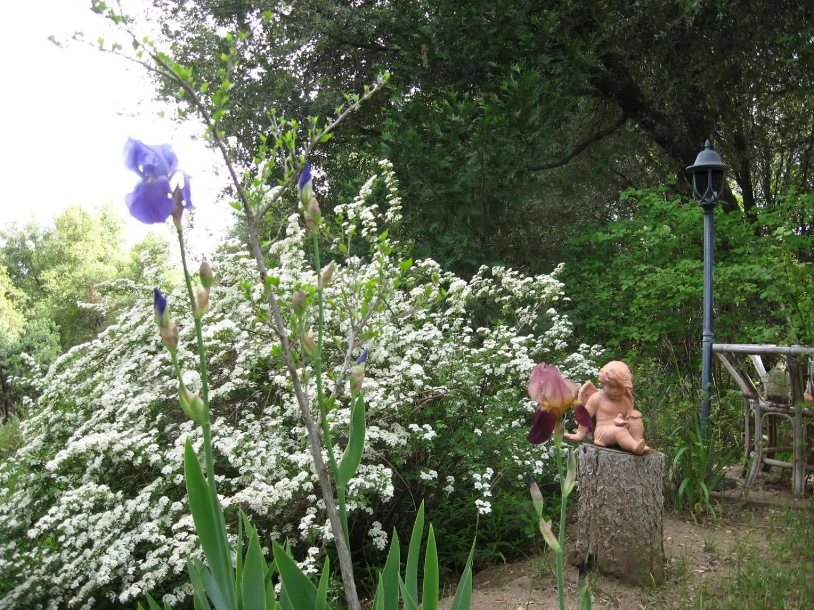 Garden in Sierra Mountain Lodge - Vacation Rentals - Yosemite