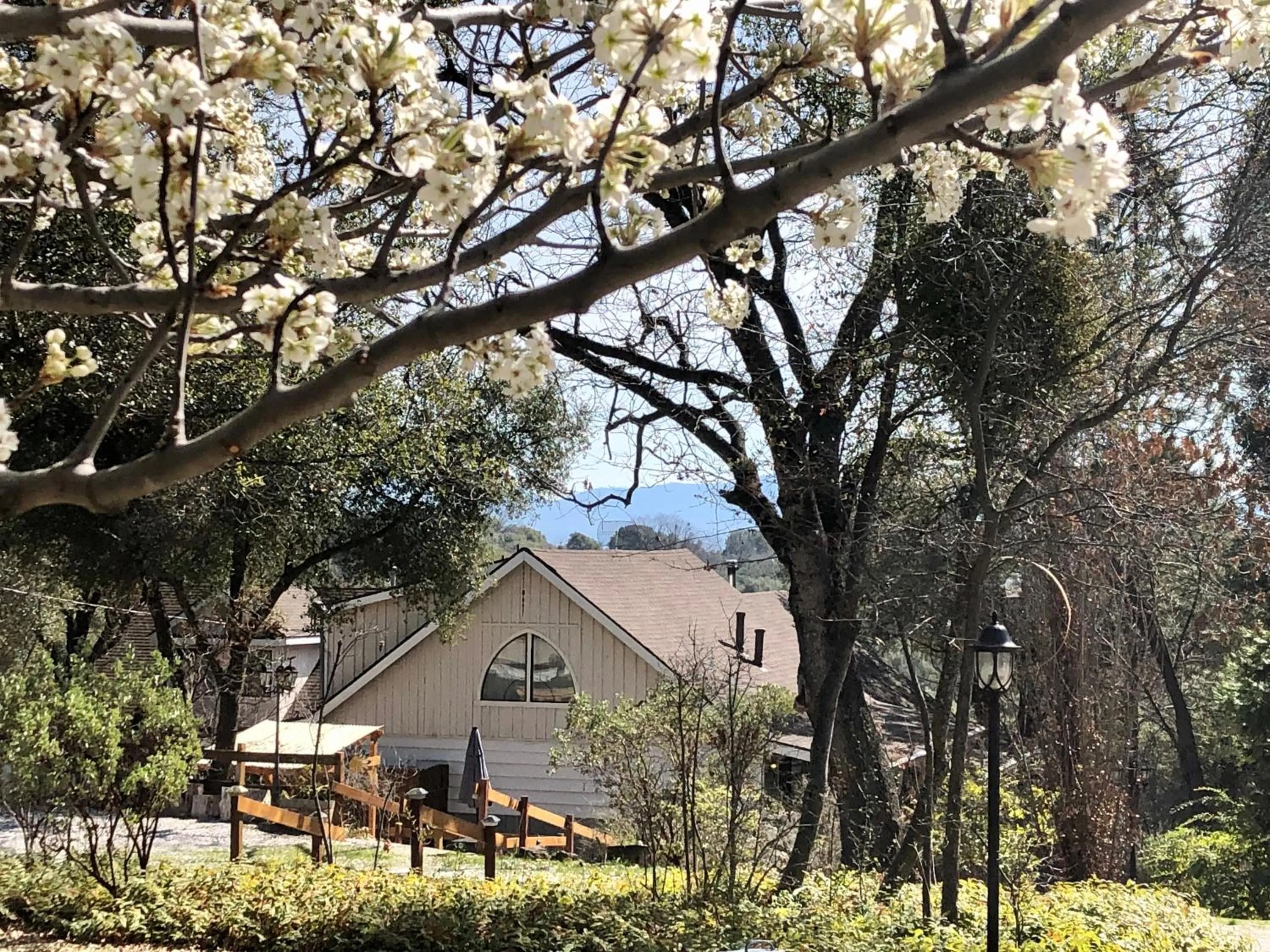 View (from property/room) in Sierra Mountain Lodge - Vacation Rentals - Yosemite