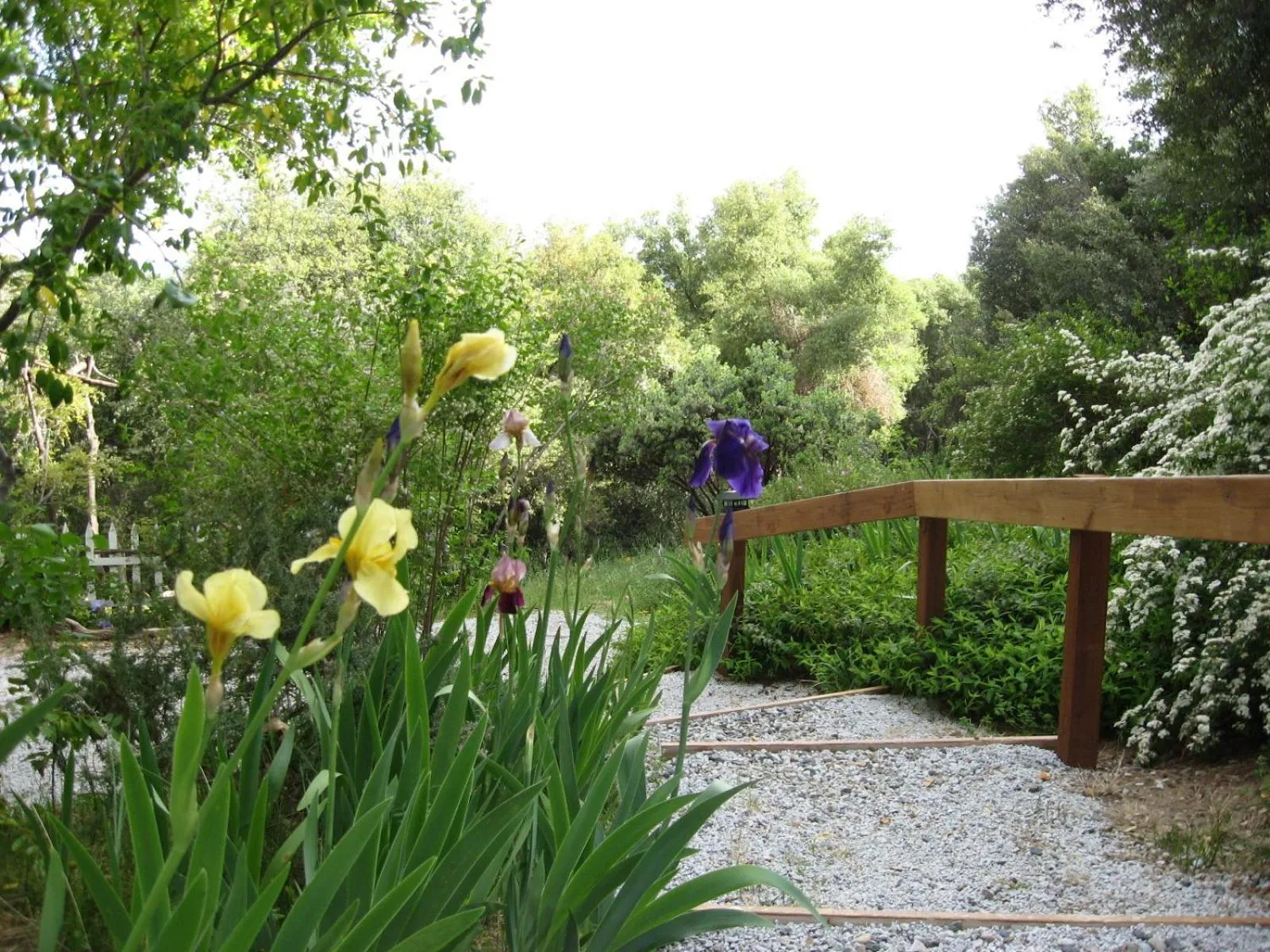 Garden in Sierra Mountain Lodge - Vacation Rentals - Yosemite