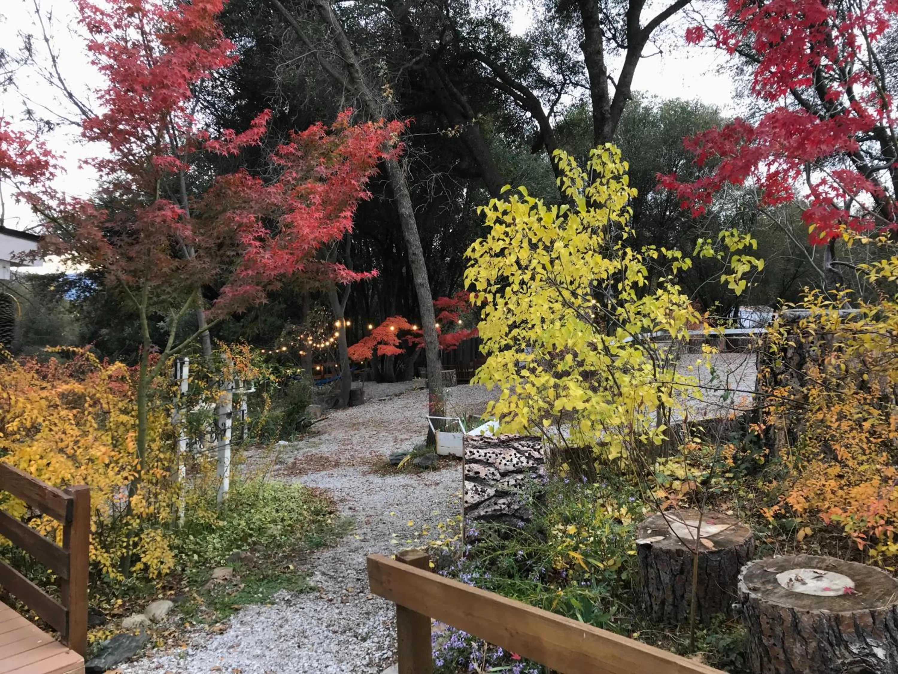 Garden in Sierra Mountain Lodge - Vacation Rentals - Yosemite