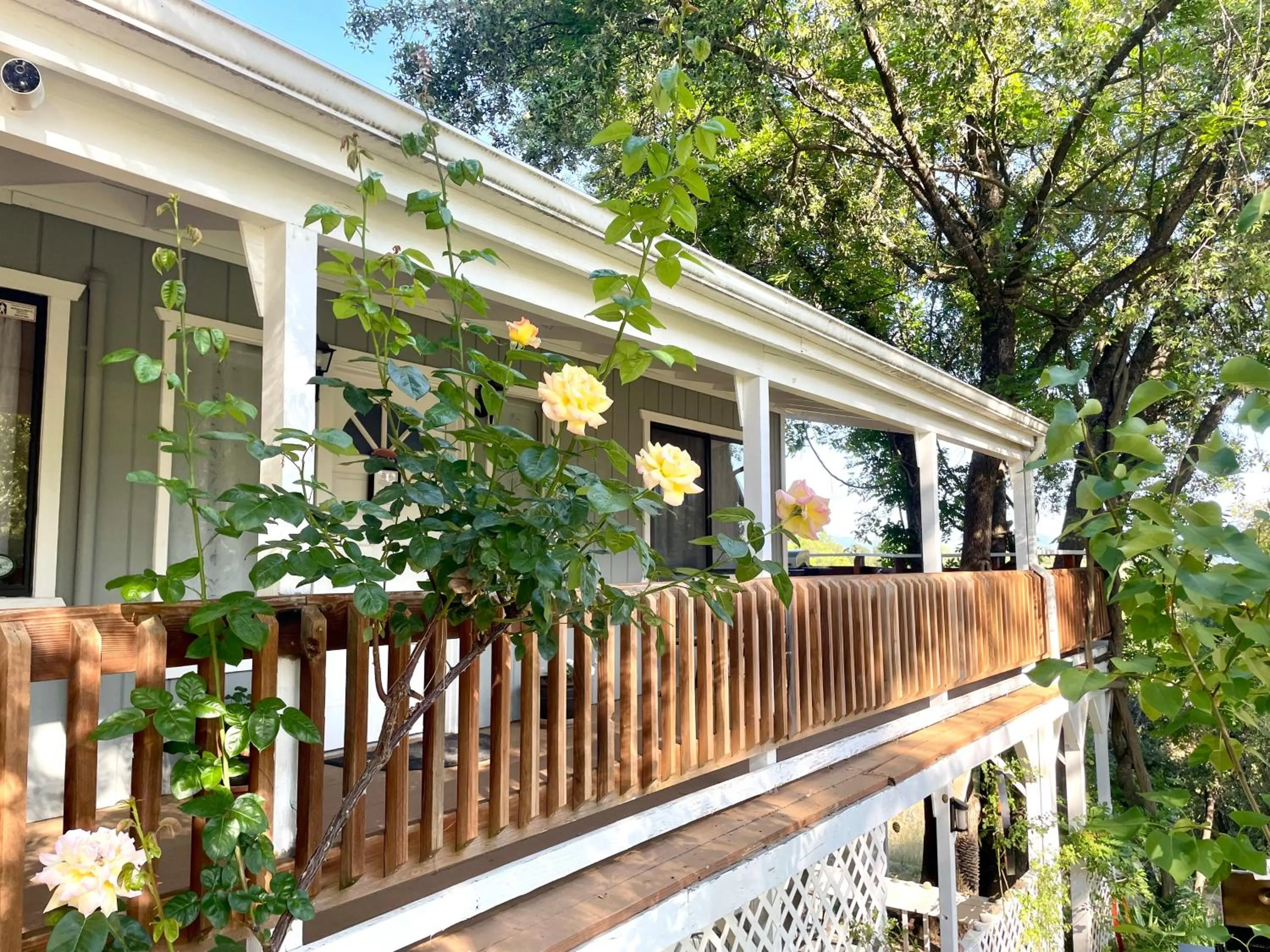 Balcony/Terrace in Sierra Mountain Lodge - Vacation Rentals - Yosemite