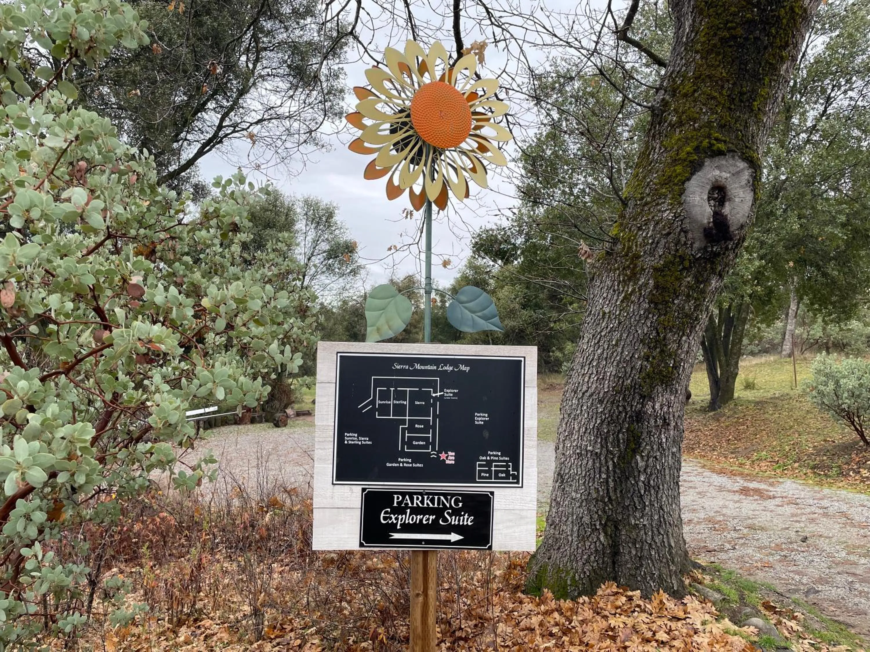 Property logo or sign in Sierra Mountain Lodge - Vacation Rentals - Yosemite