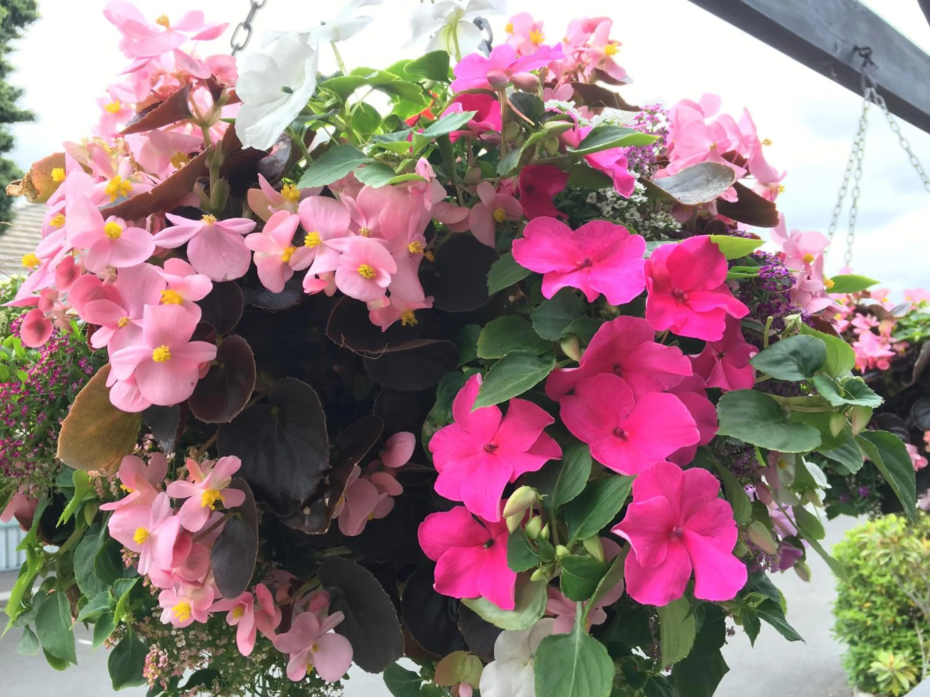 Garden in Fenton Court Motel