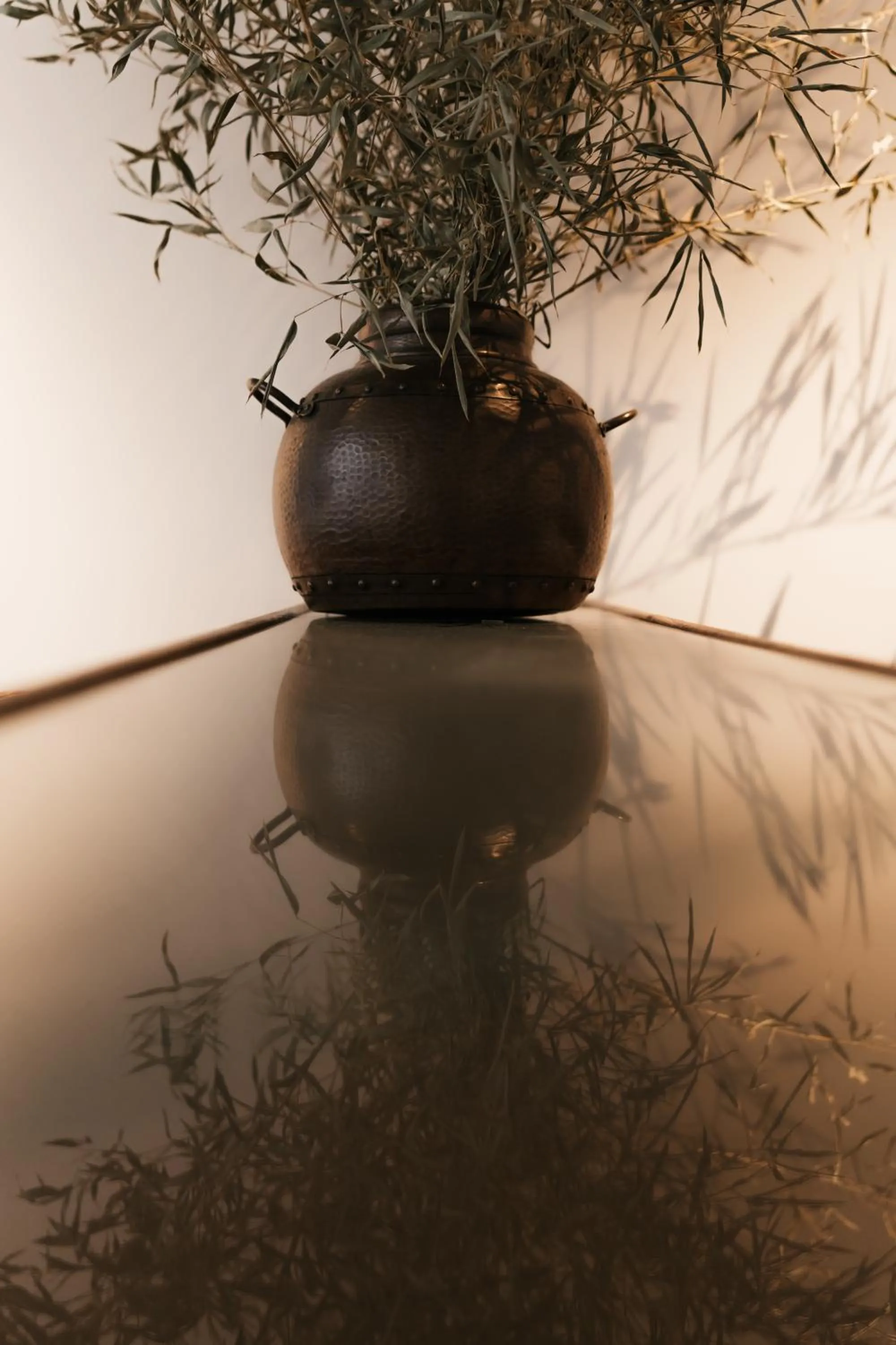 Casa do Parque Nature & Heritage Hotel