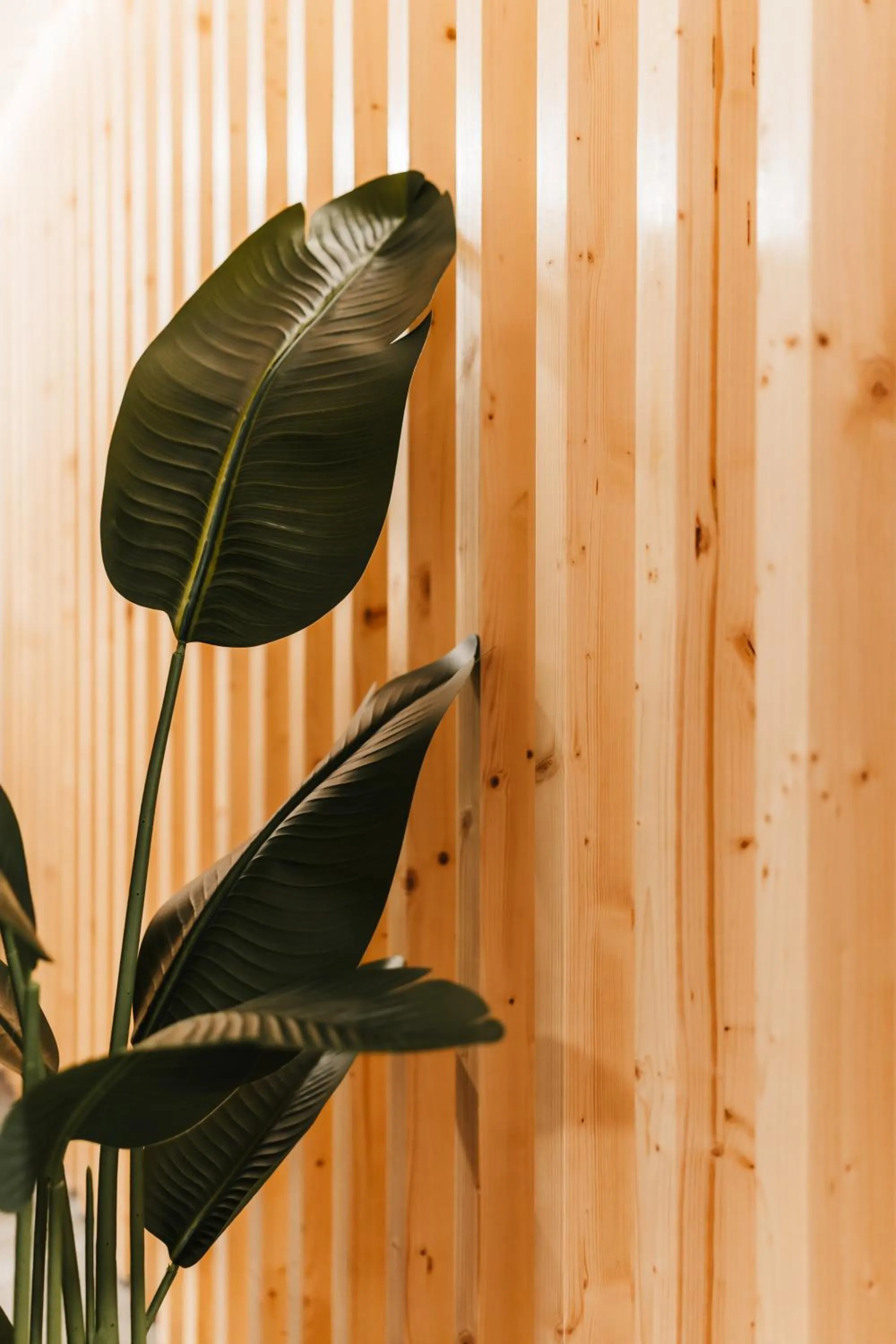 Casa do Parque Nature & Heritage Hotel