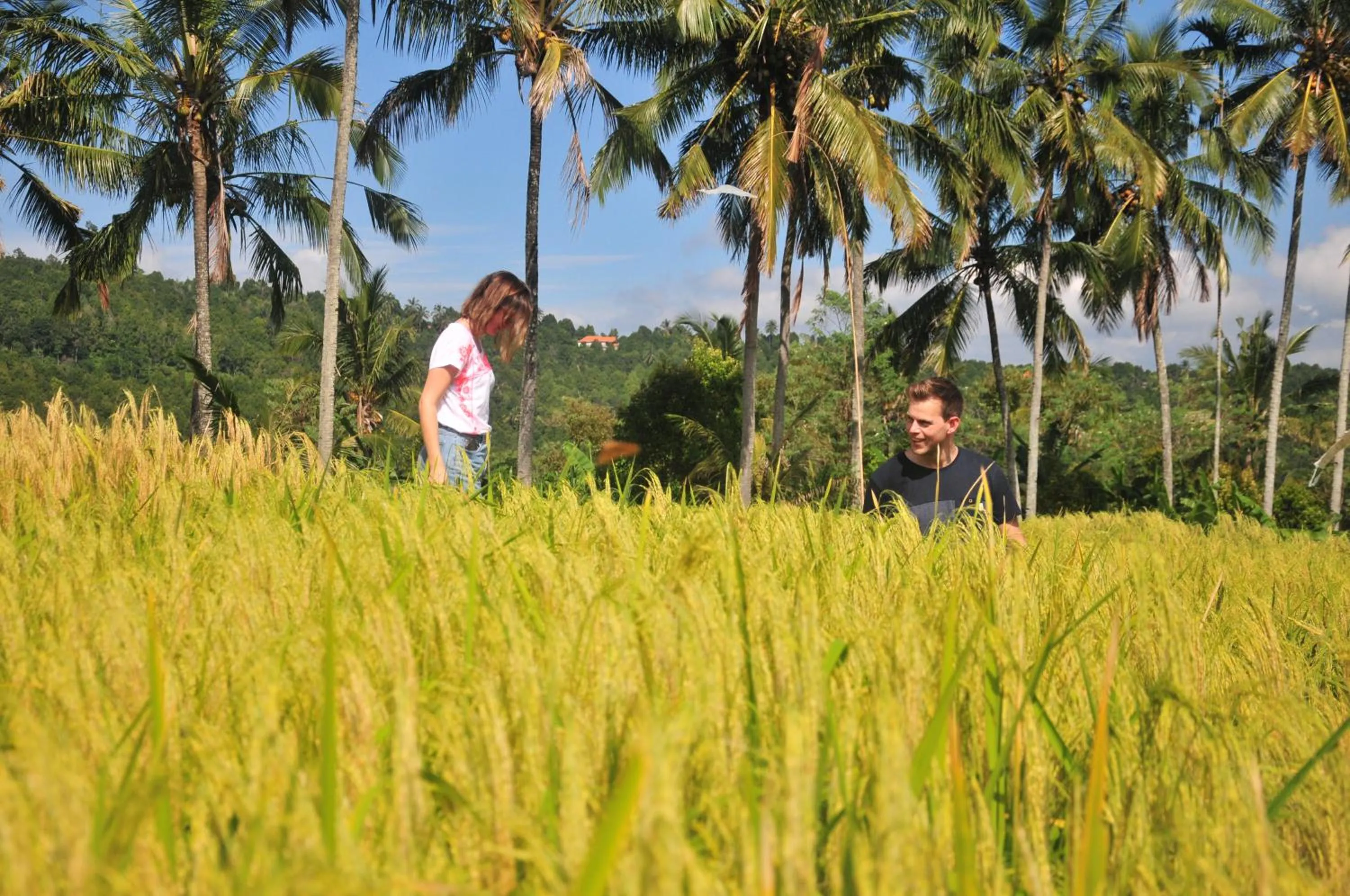 Activities in Puri Sunny Munduk , North Bali