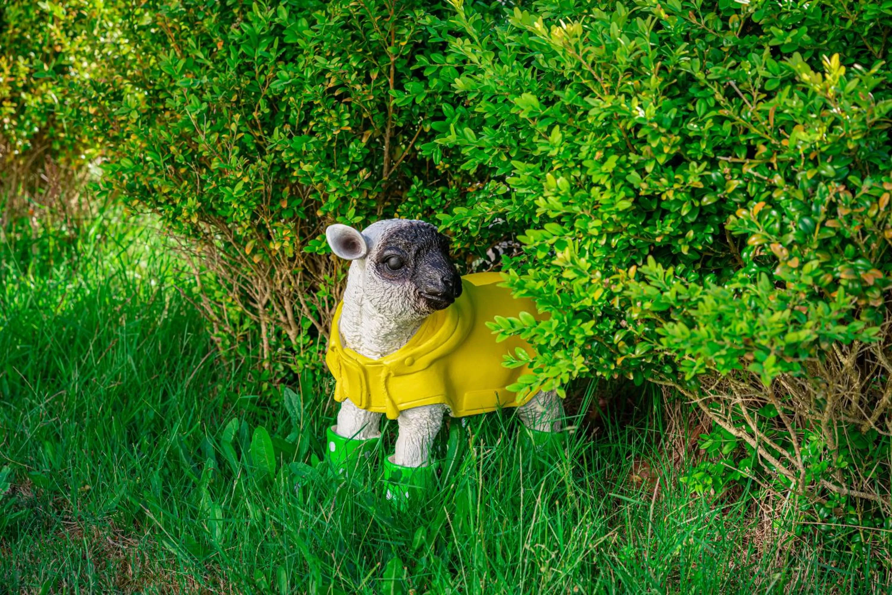 Animals in Letj Briis