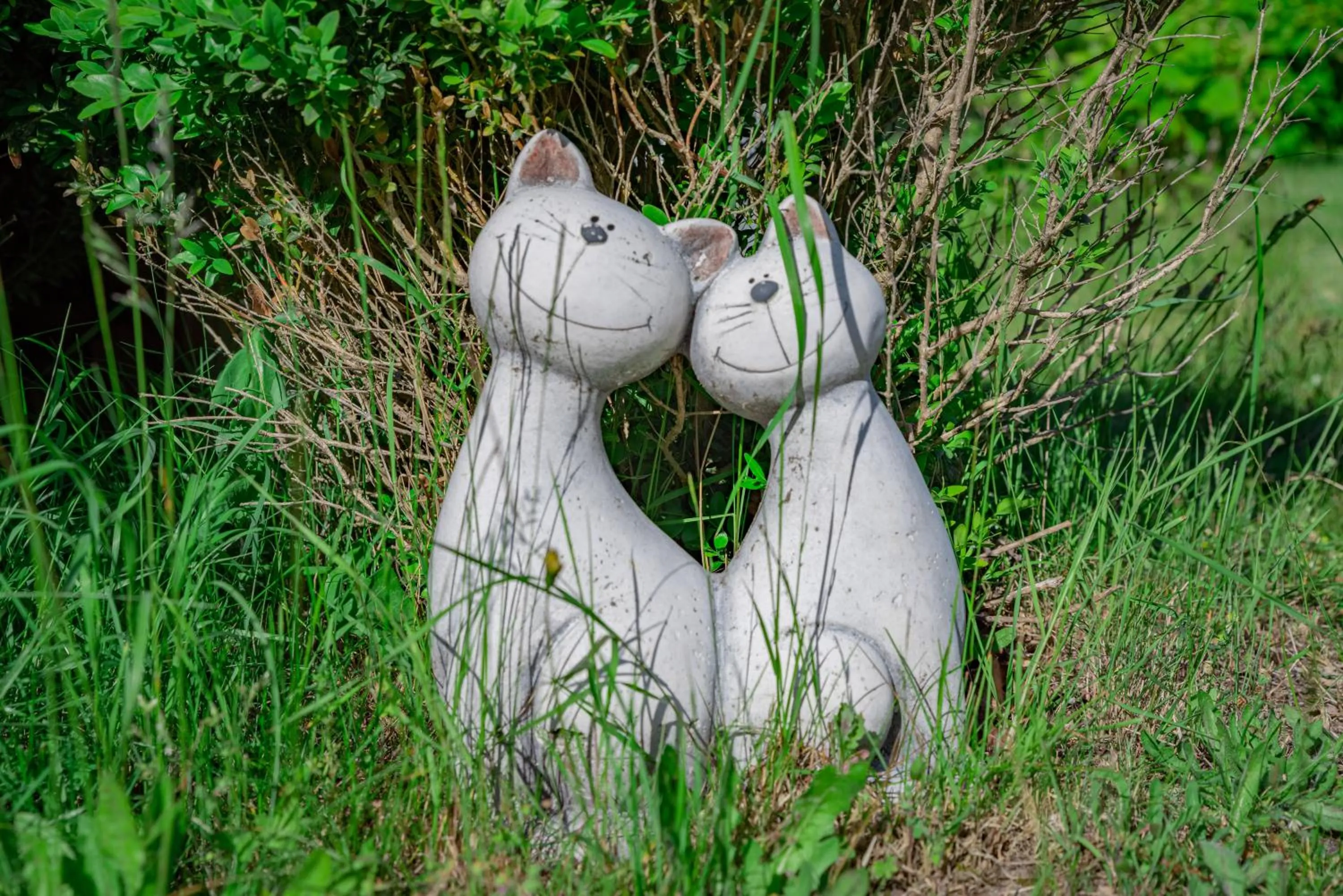 Natural landscape in Letj Briis