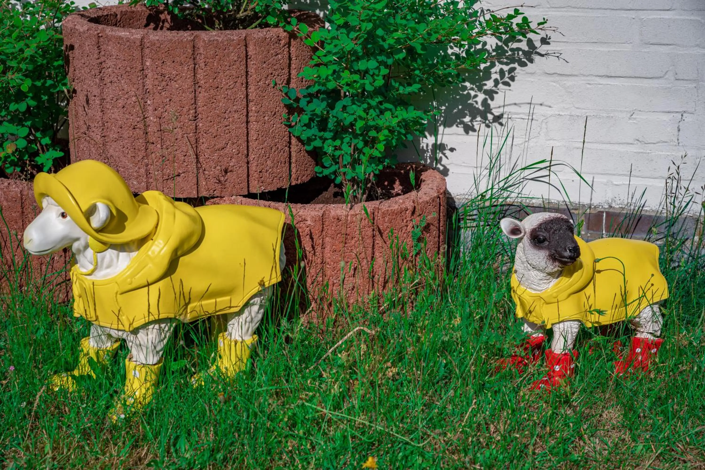 Animals in Letj Briis