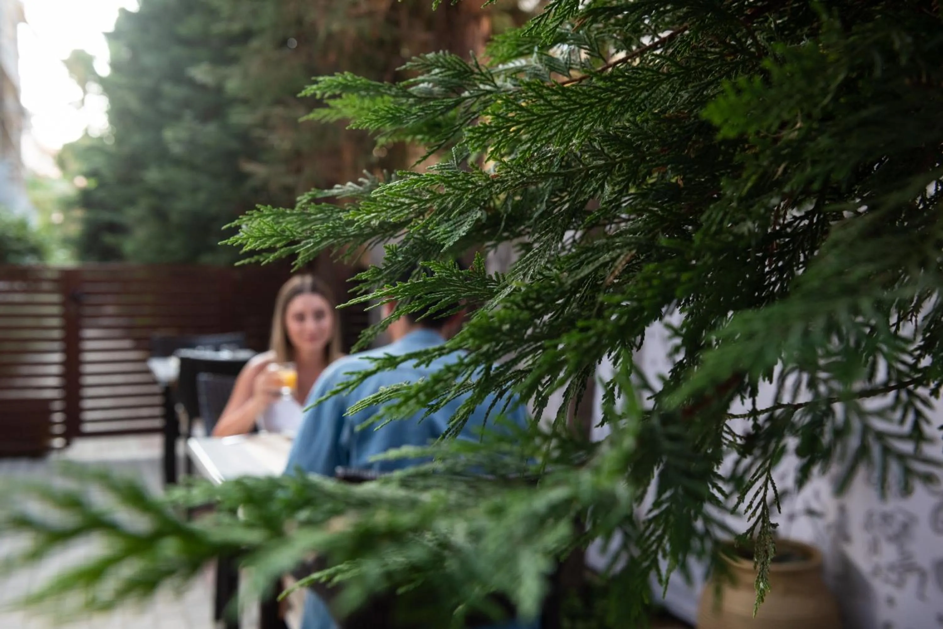 Garden in Hotel Galaxias