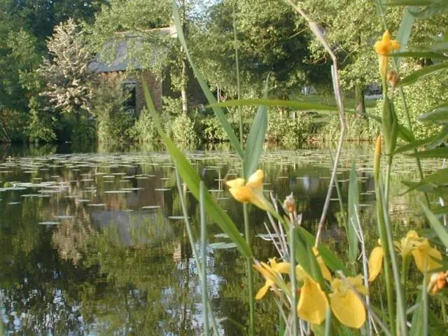 Area and facilities in Au Pont Ricoul