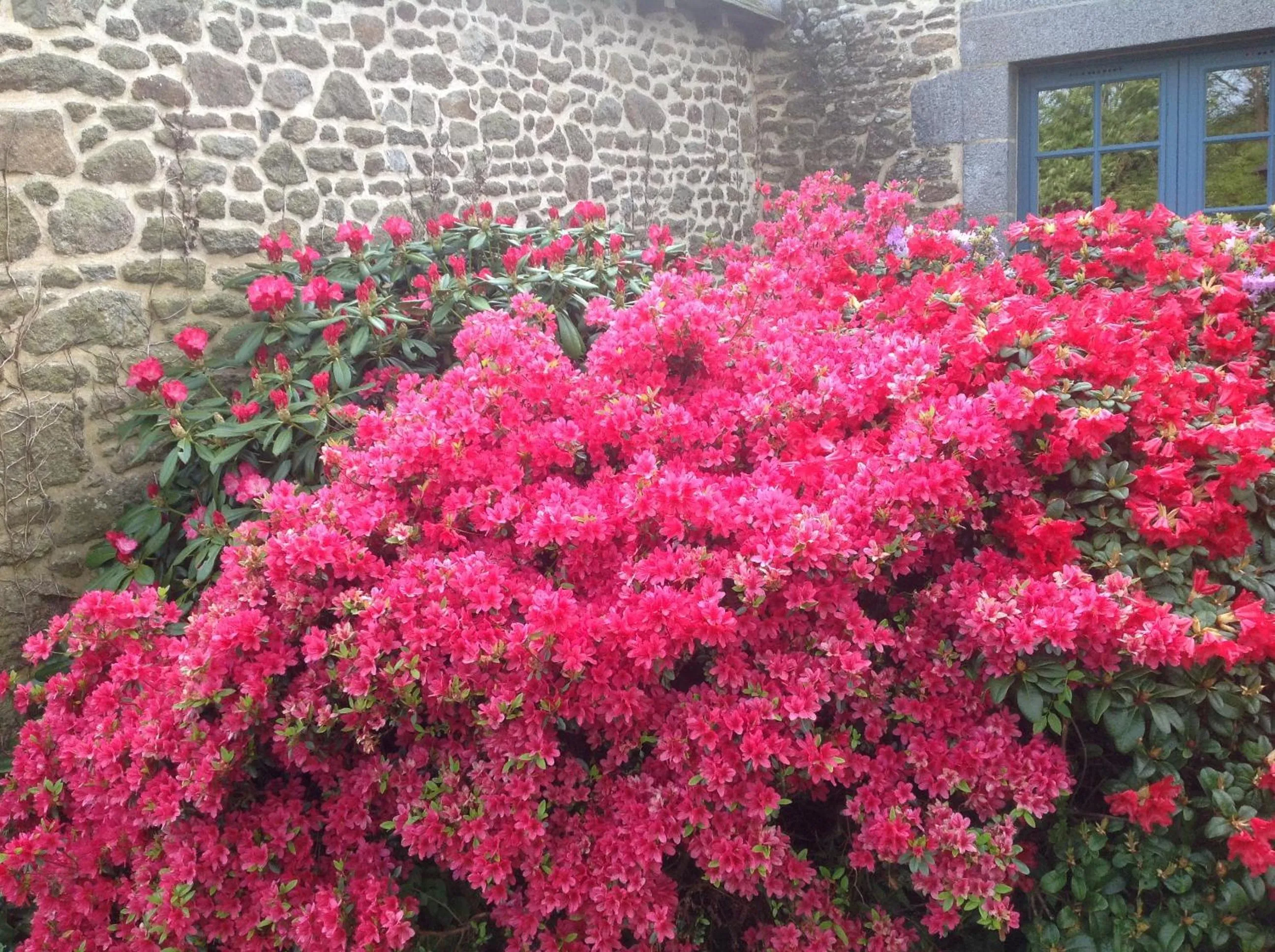 Garden in Au Pont Ricoul
