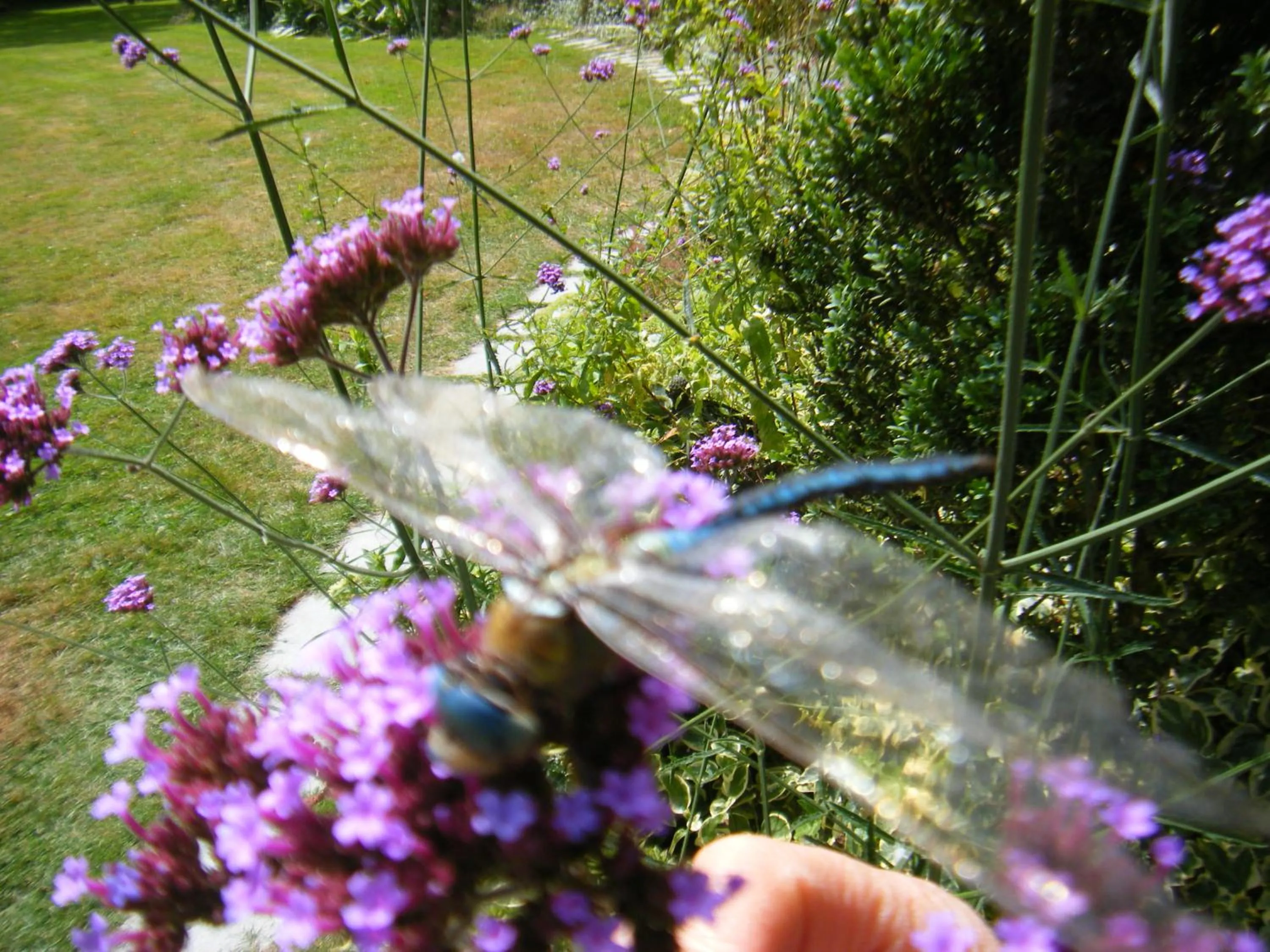 Breakfast in Au Pont Ricoul
