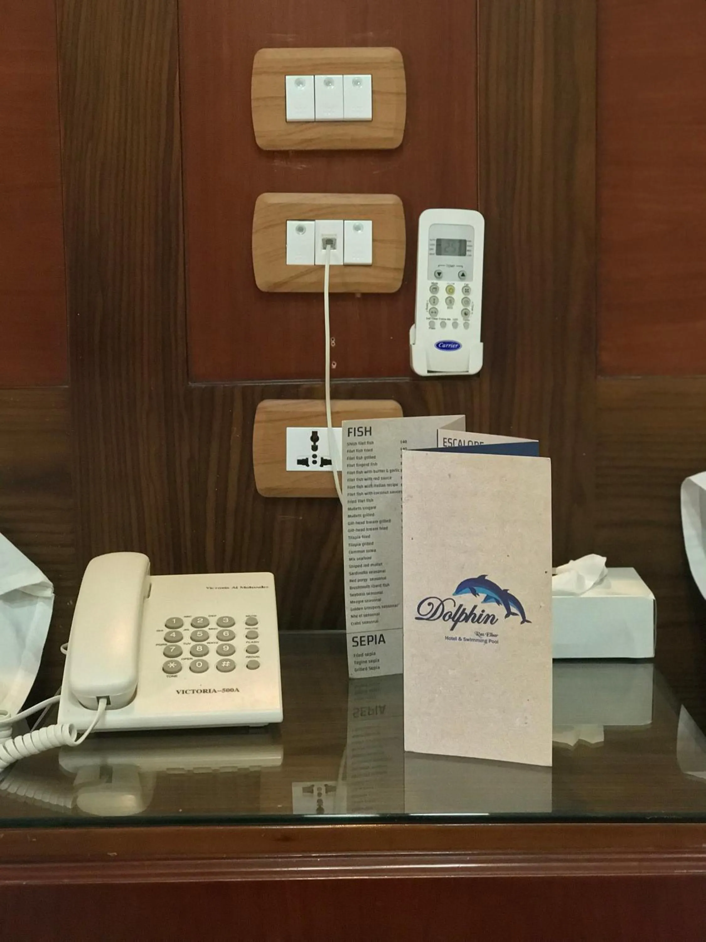 Decorative detail in Dolphin Ras El-Bar Hotel