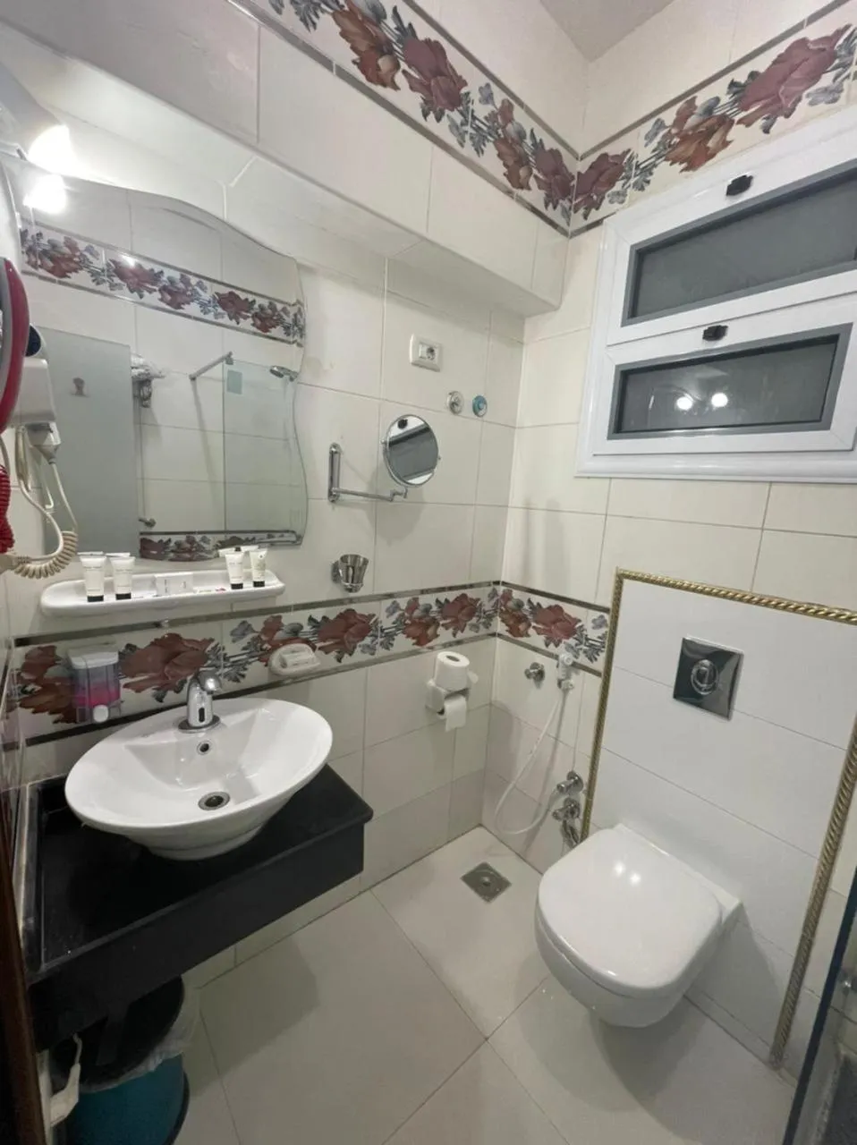 Toilet in Dolphin Ras El-Bar Hotel