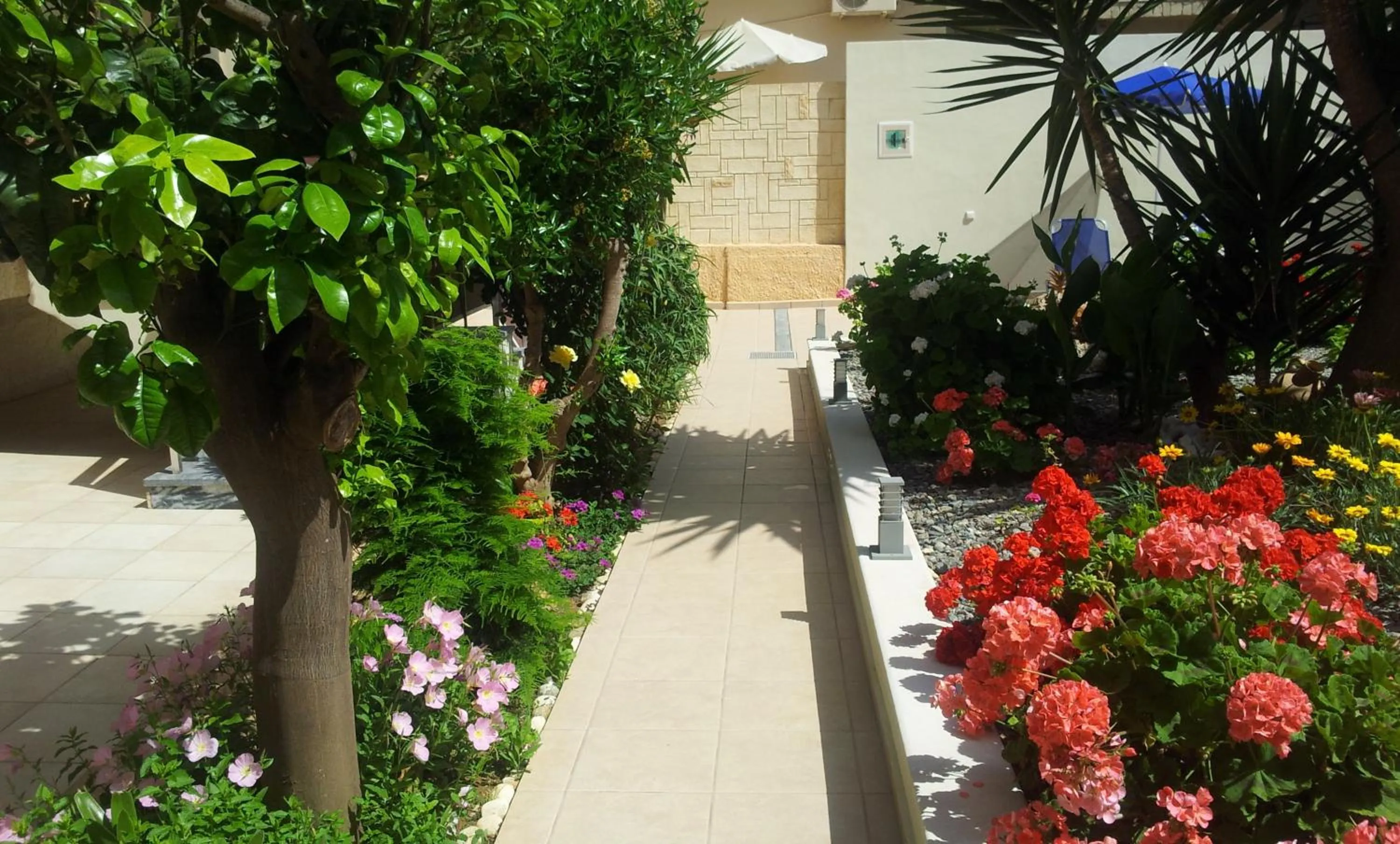 Patio in Nicolas Studios & Apartments