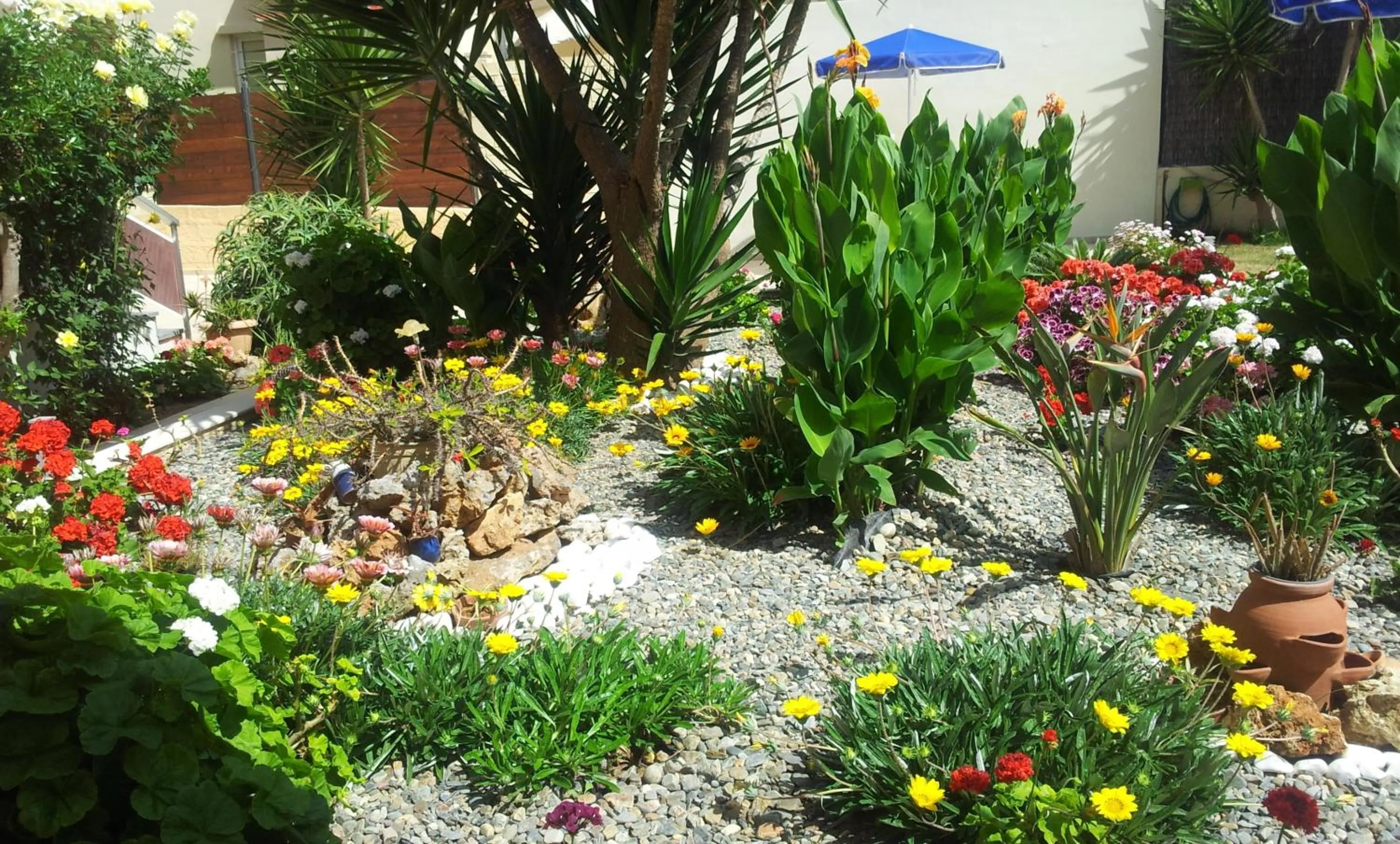 Garden in Nicolas Studios & Apartments