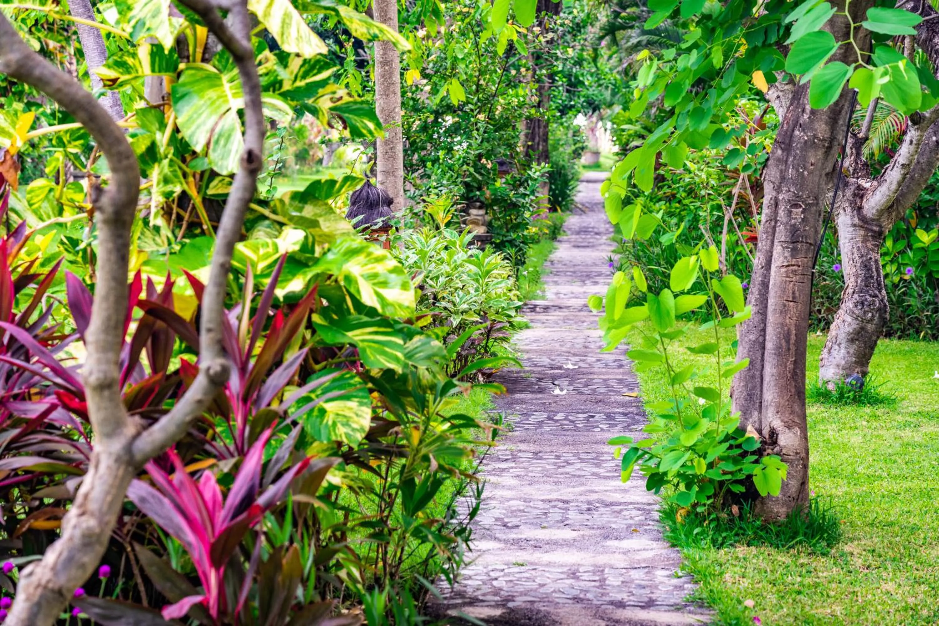Garden in Taman Selini Wahana Beach Resort