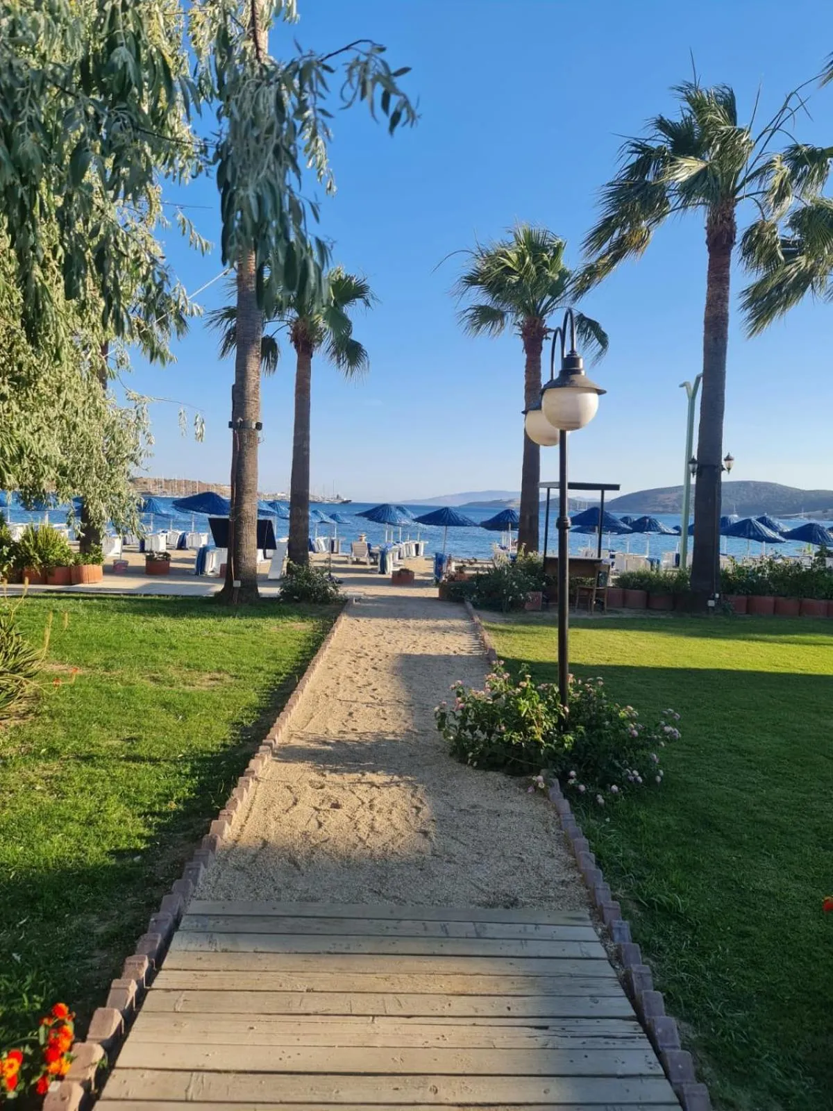 Garden in Nagi Beach Hotel