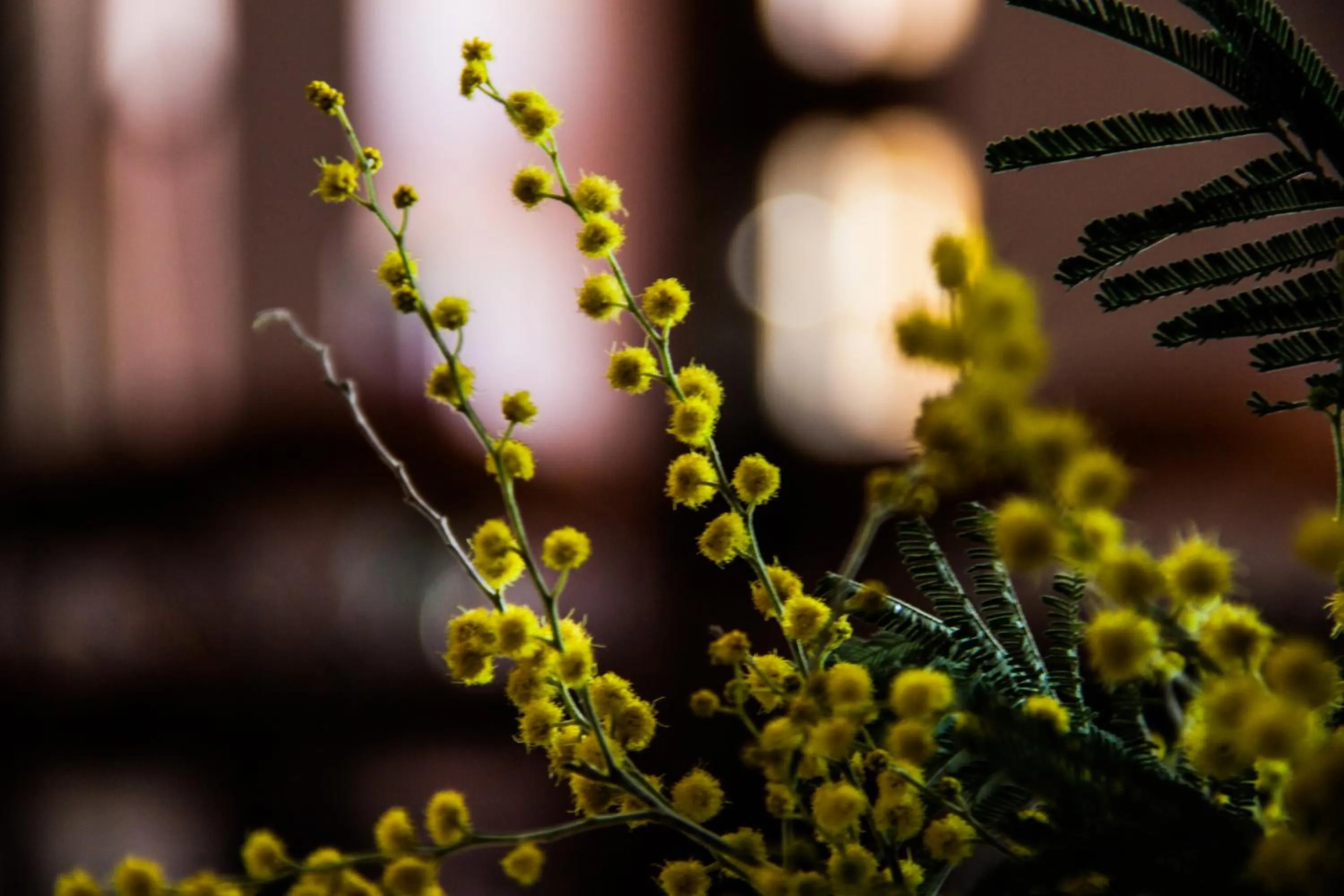 Decorative detail in Hotel at Gomi 19