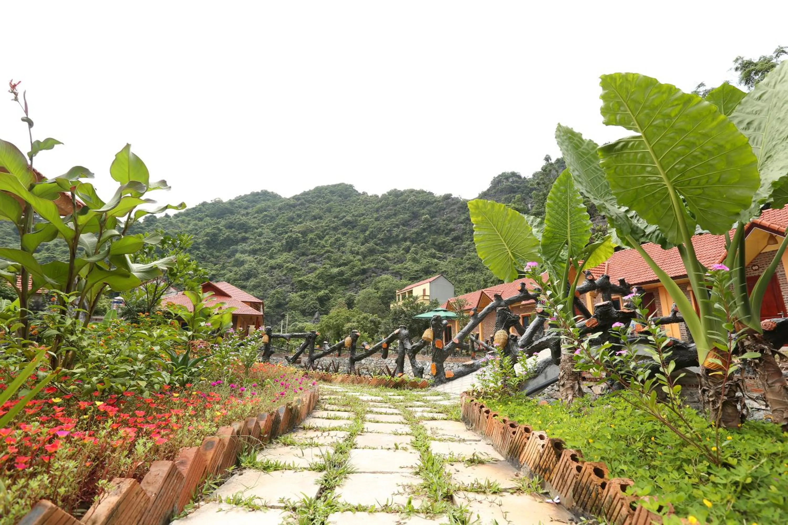 Natural landscape in An Ngoc Tam Coc Bungalow