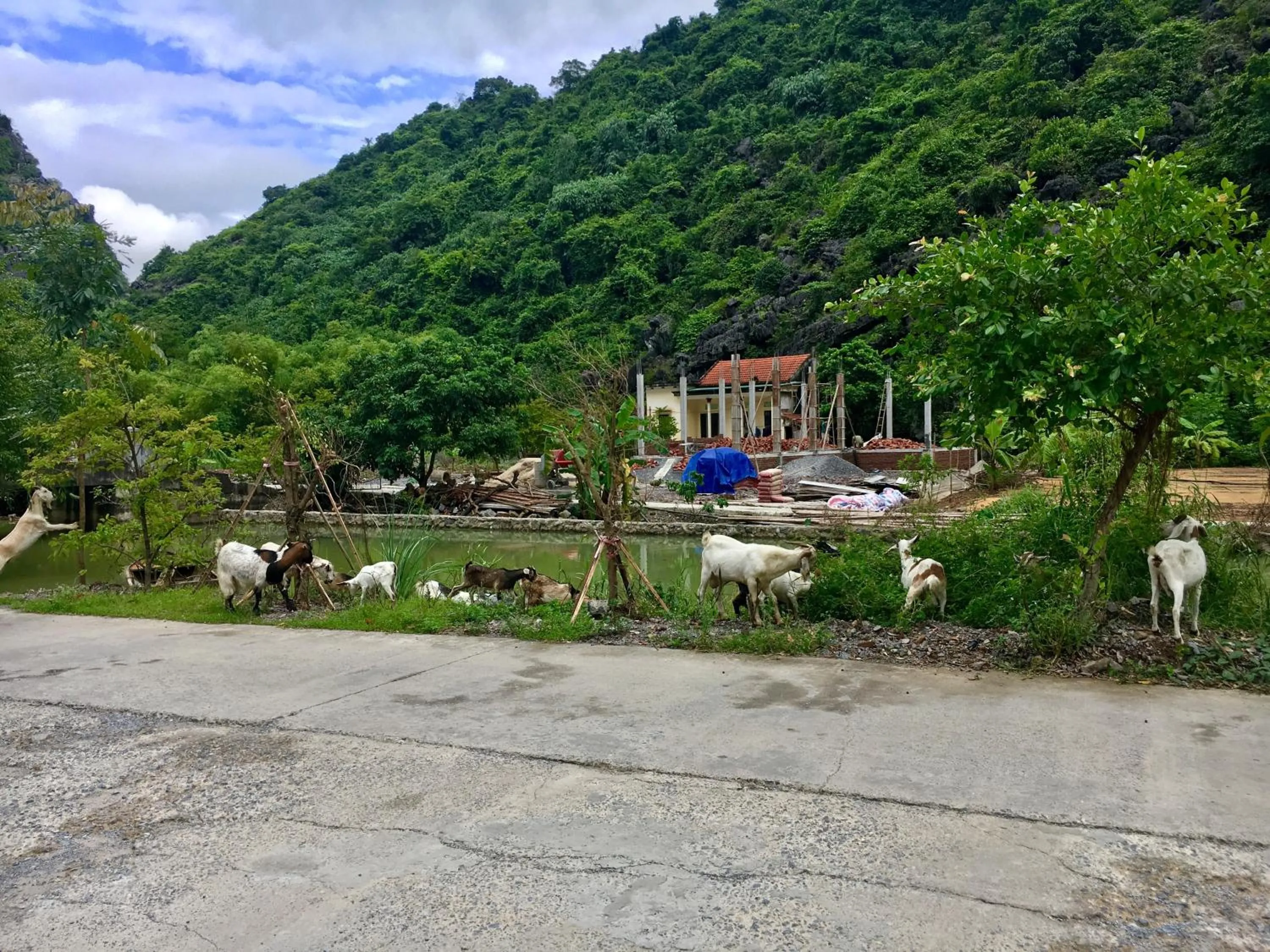 Neighbourhood in An Ngoc Tam Coc Bungalow