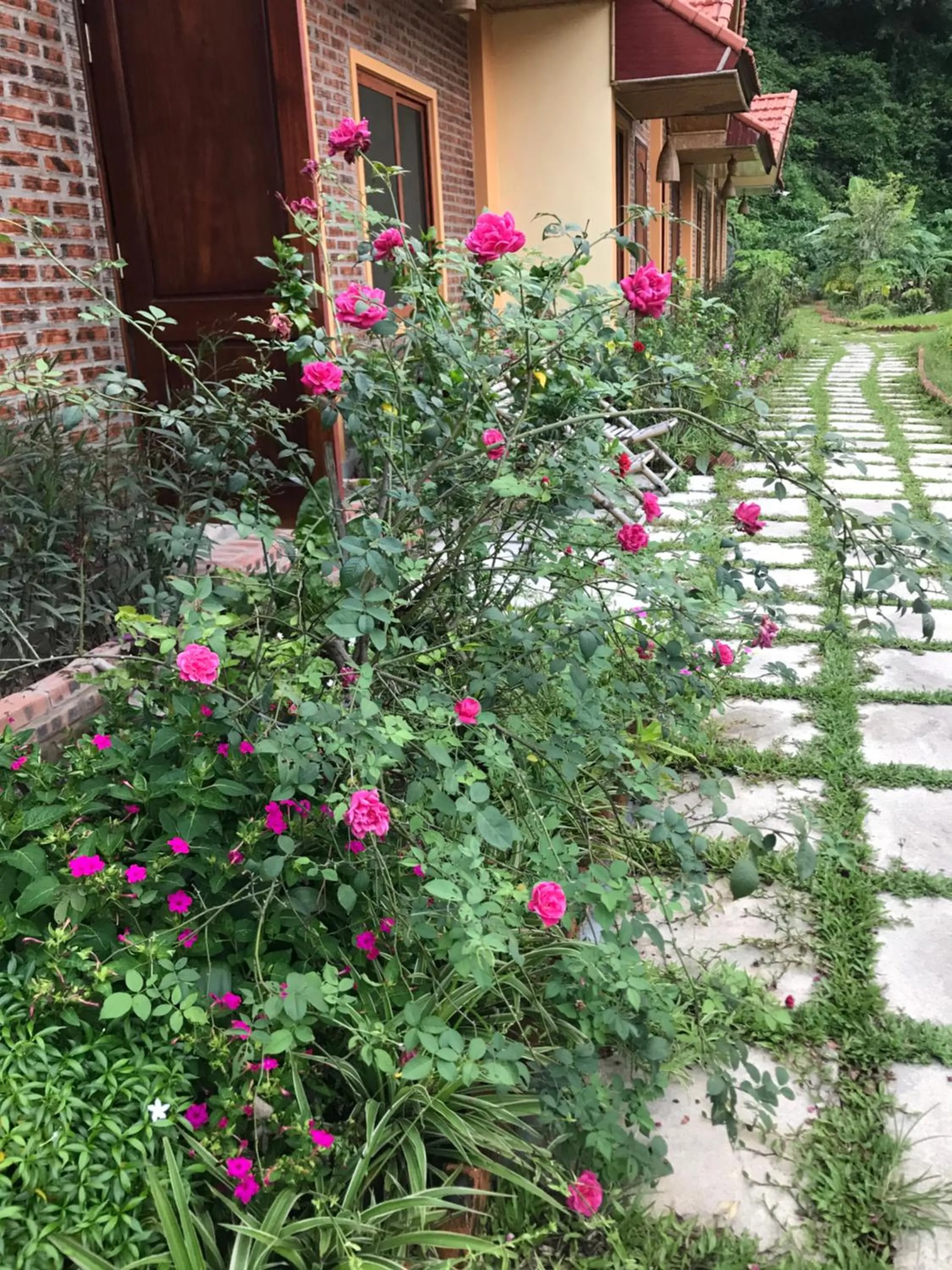 Patio in An Ngoc Tam Coc Bungalow
