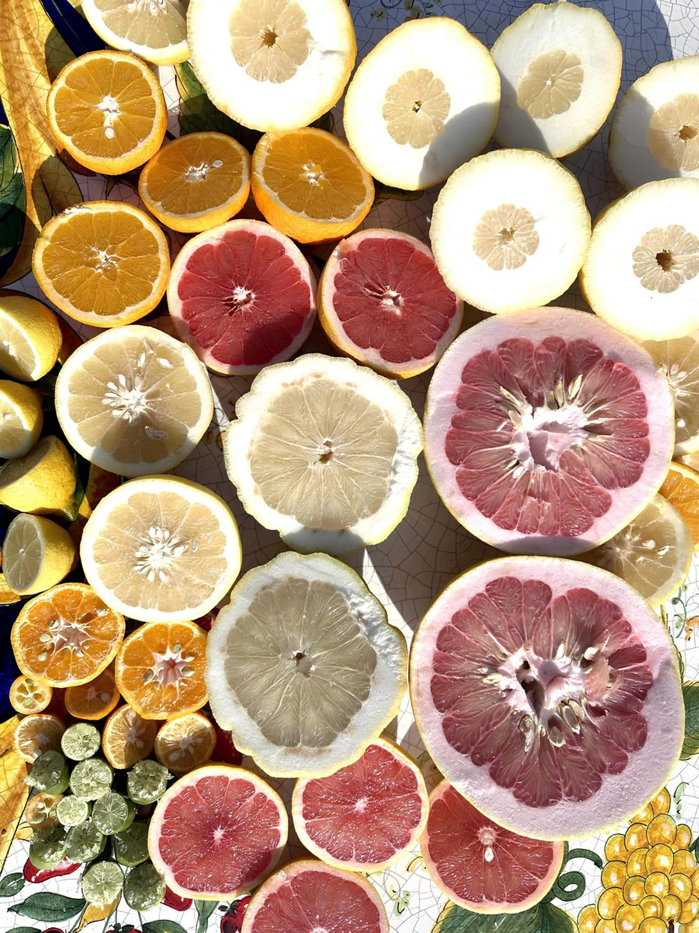 Garden in Villa De Cillis Carafa