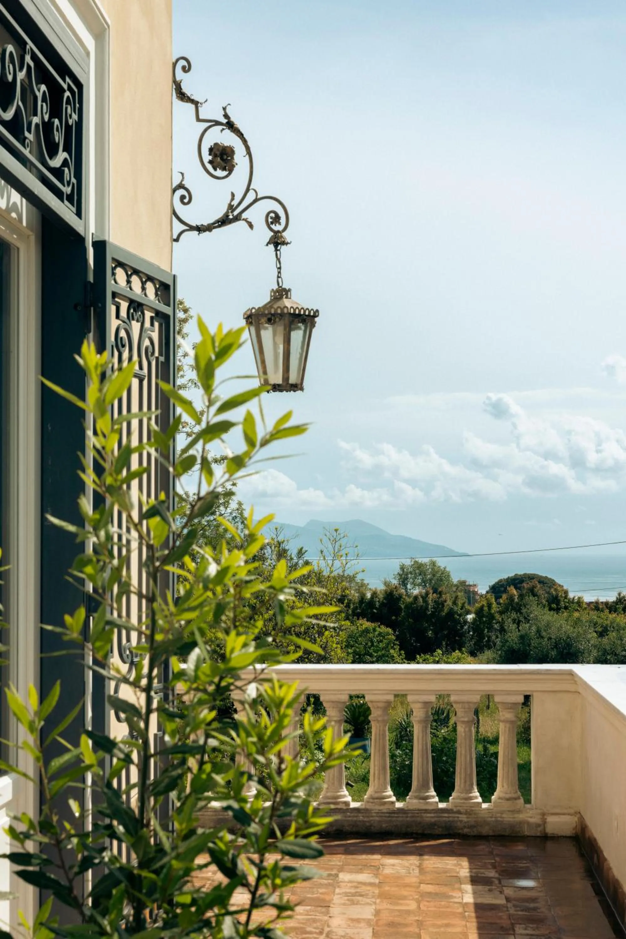 Bird's eye view in Villa De Cillis Carafa