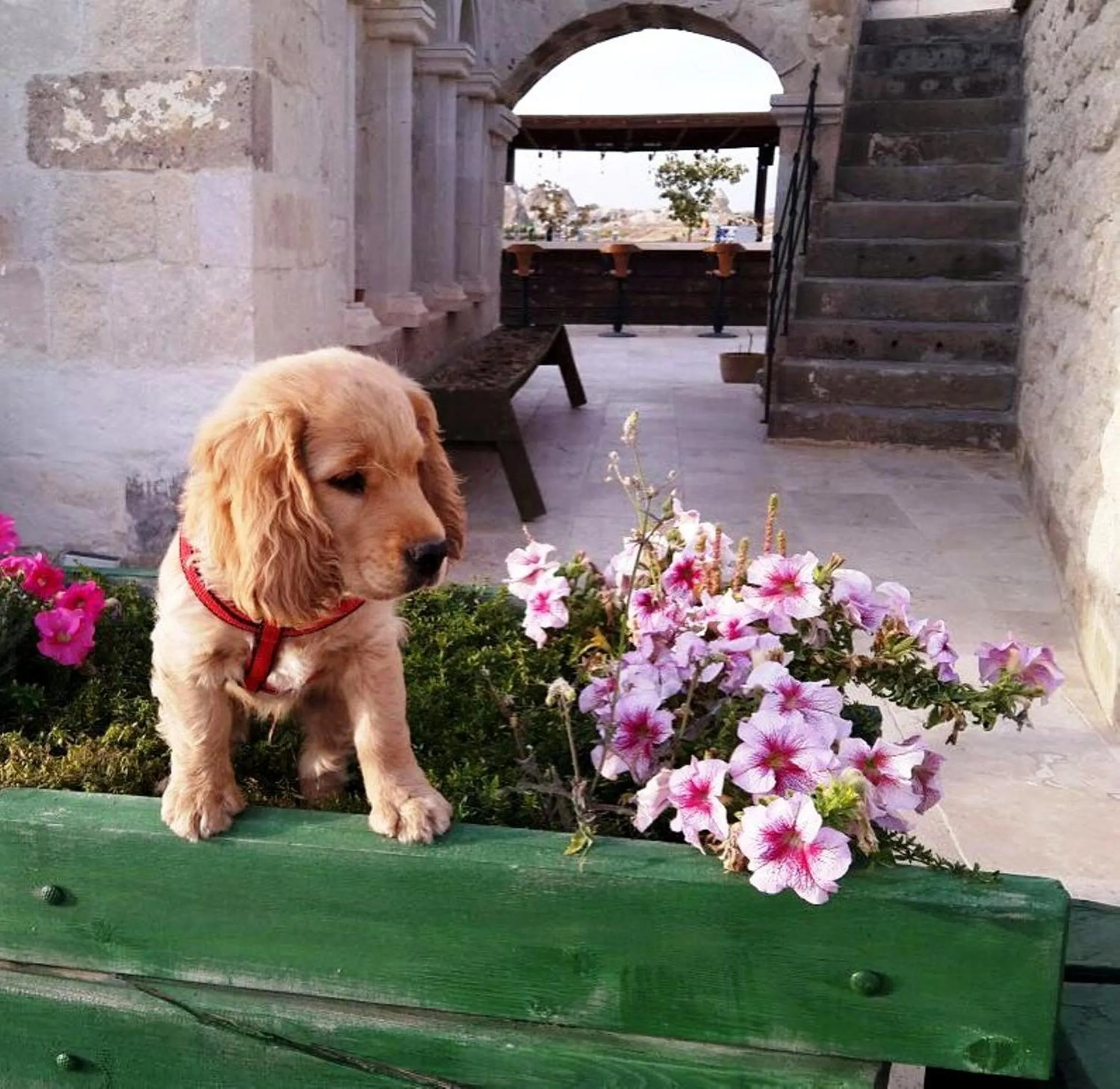 Decorative detail in Doors Of Cappadocia Special Cave Hotel