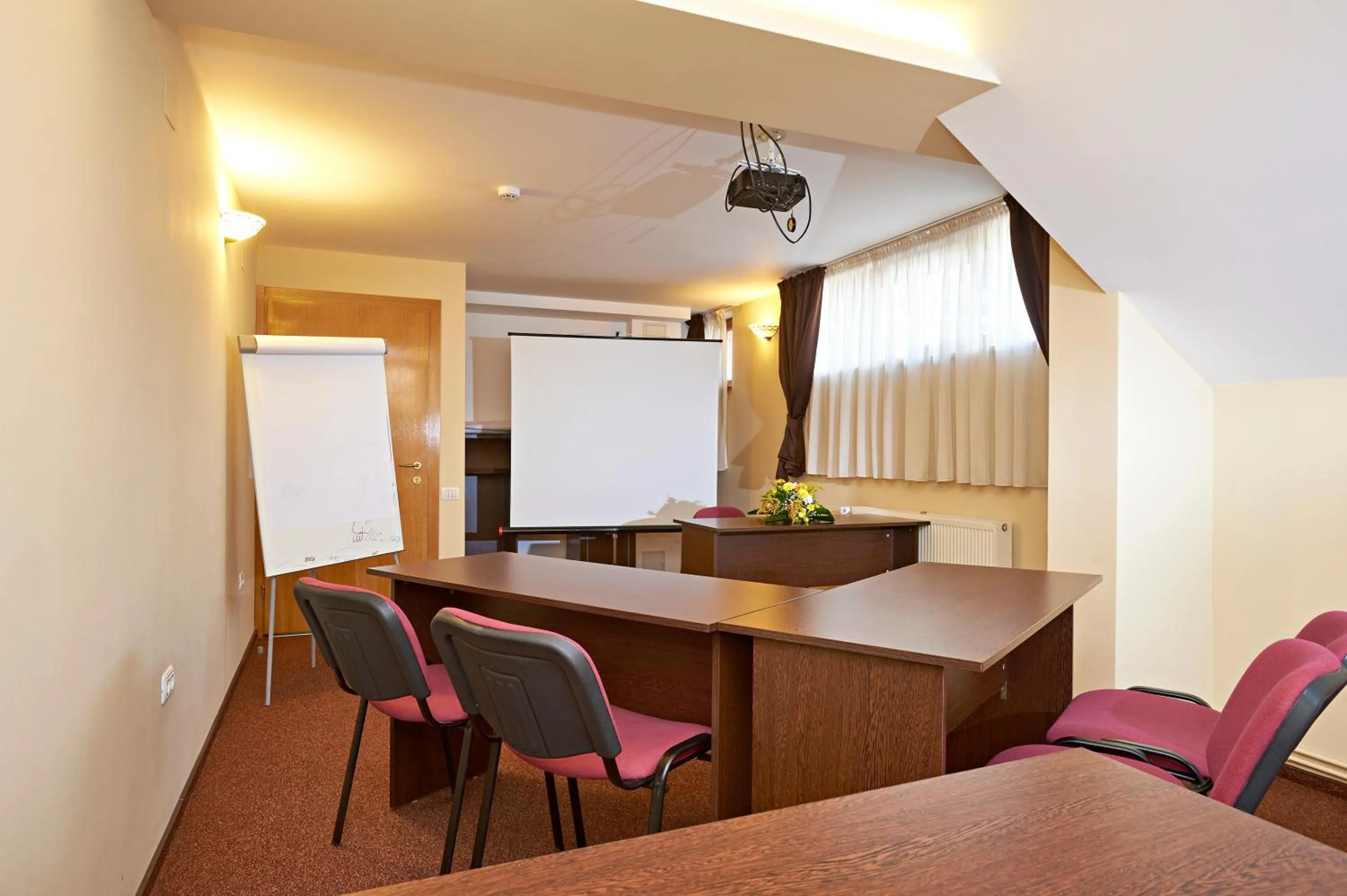 Meeting/conference room in Pensiunea Ambient
