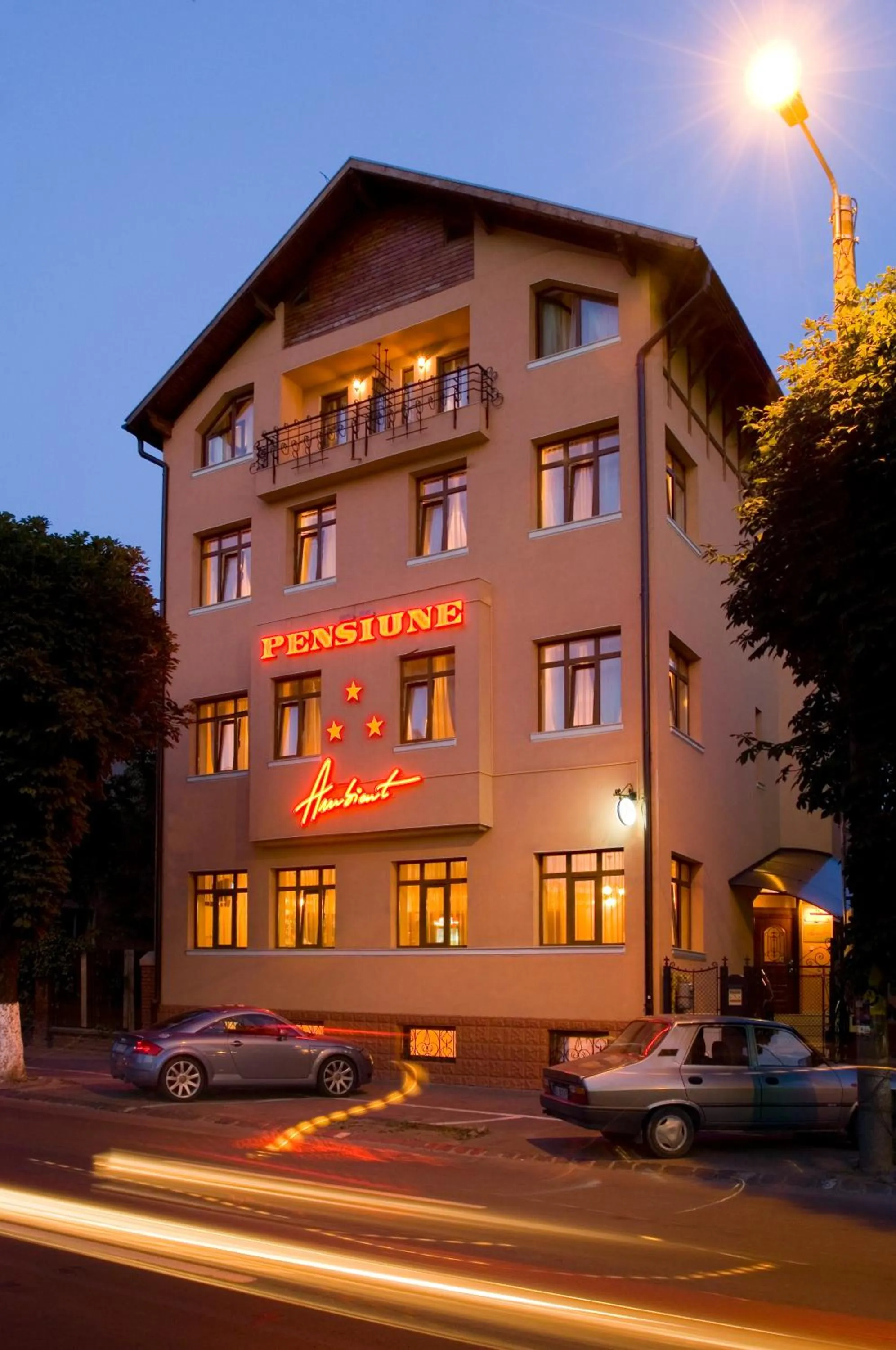 Facade/entrance in Pensiunea Ambient