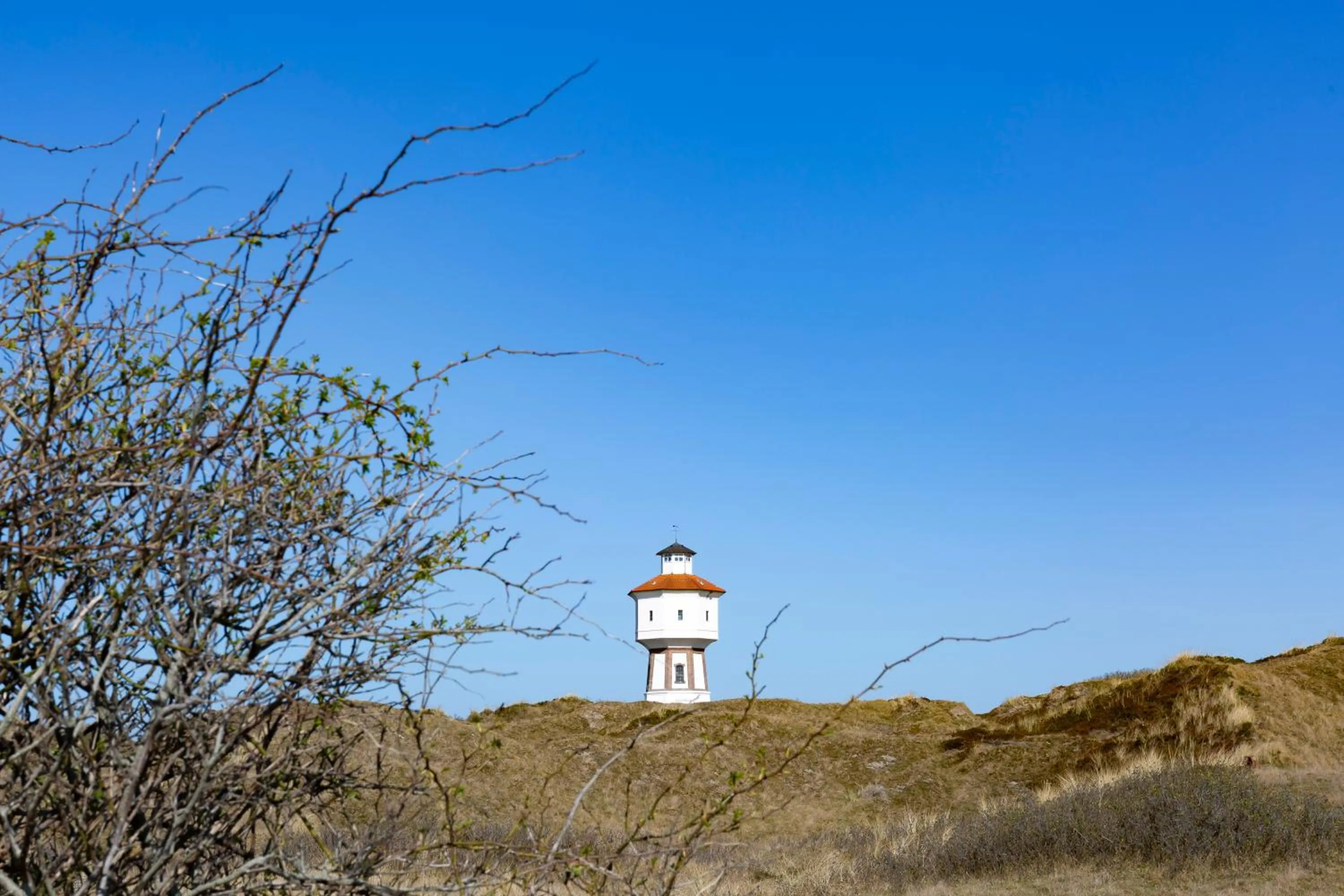 Area and facilities in Hotel Bethanien