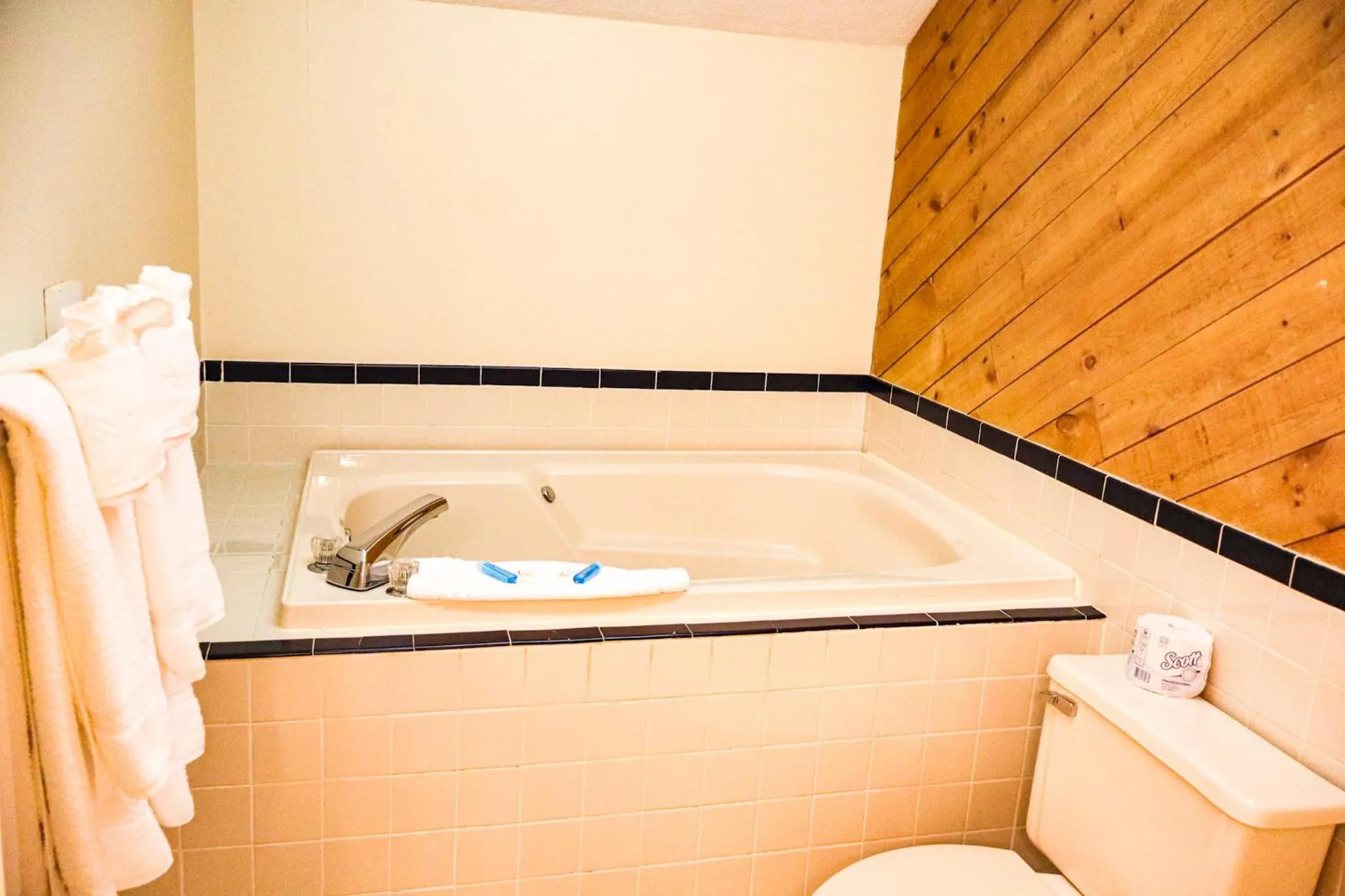 Bath in Snowy Owl Inn