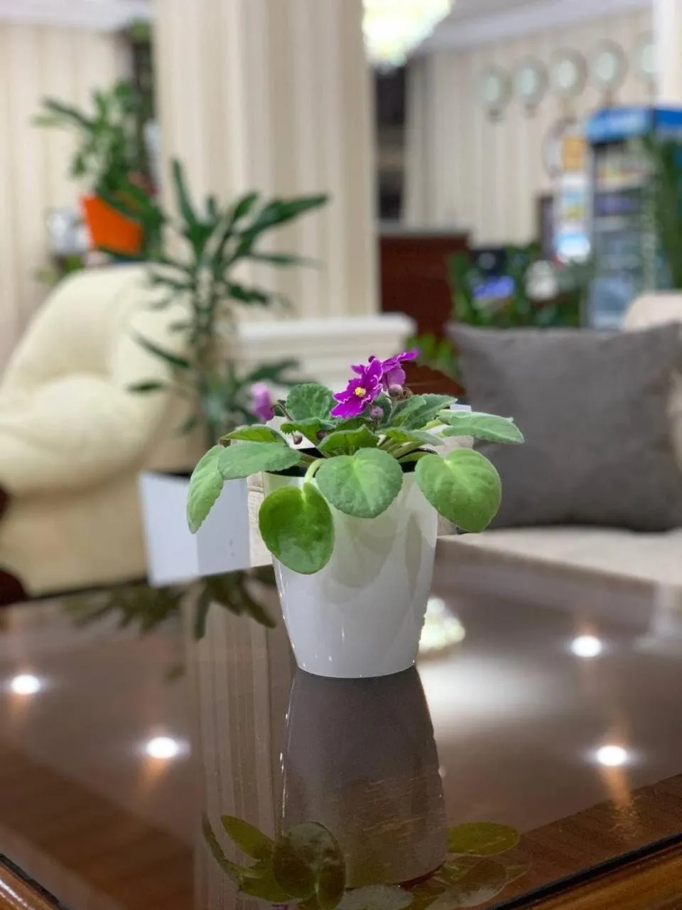 Hotel City Samarkand