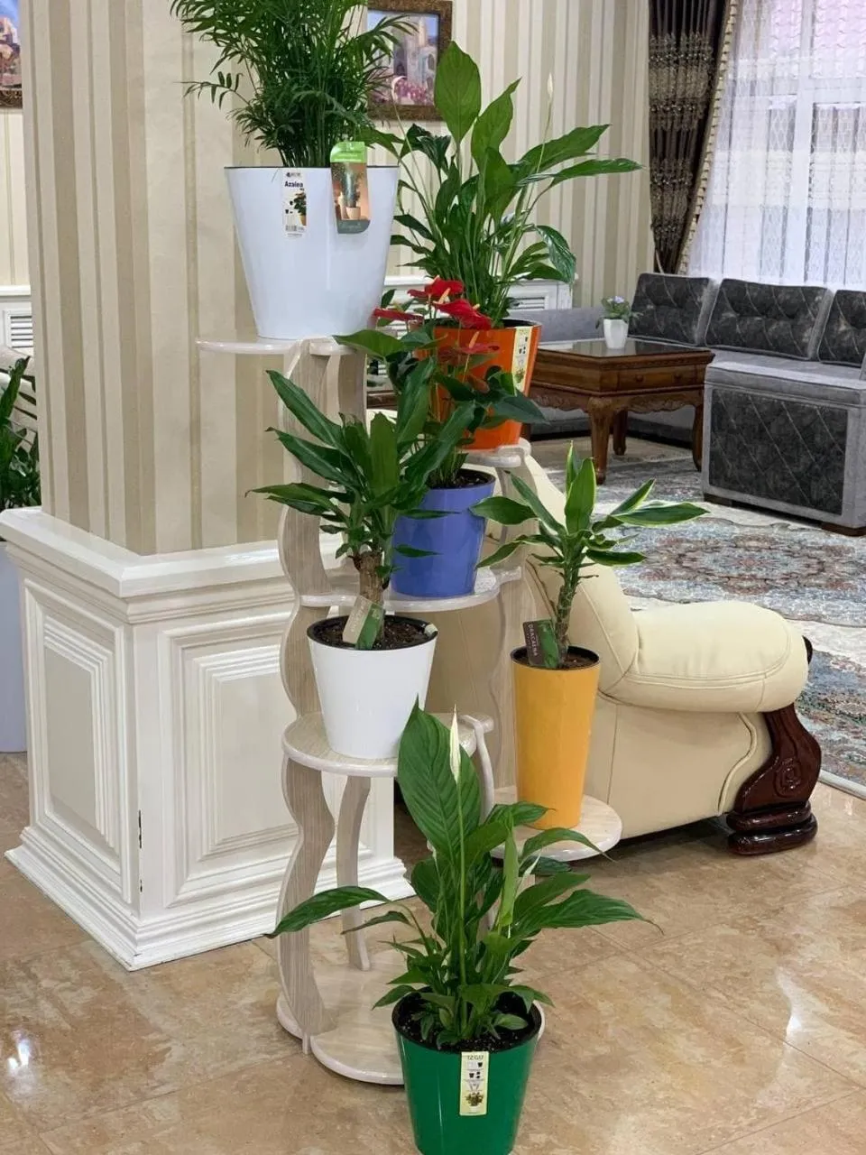 Hotel City Samarkand