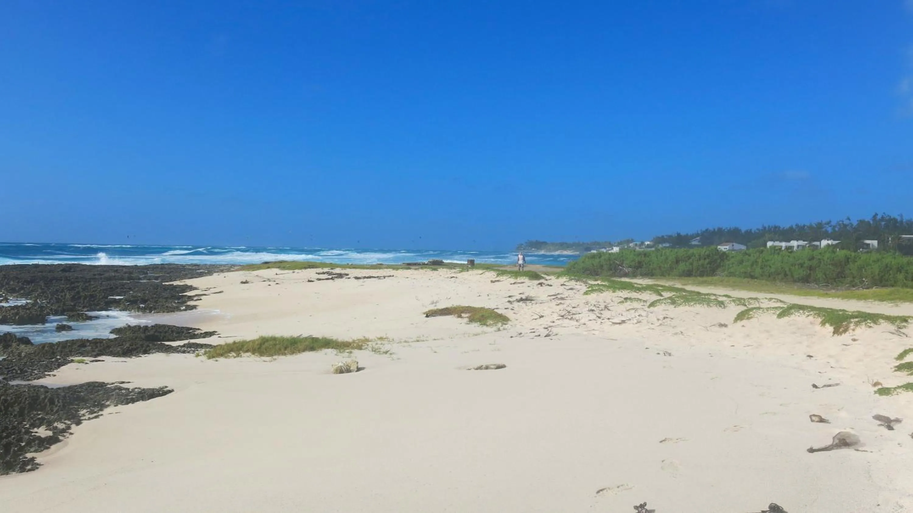 Neighbourhood in Gemini House Bed & Breakfast