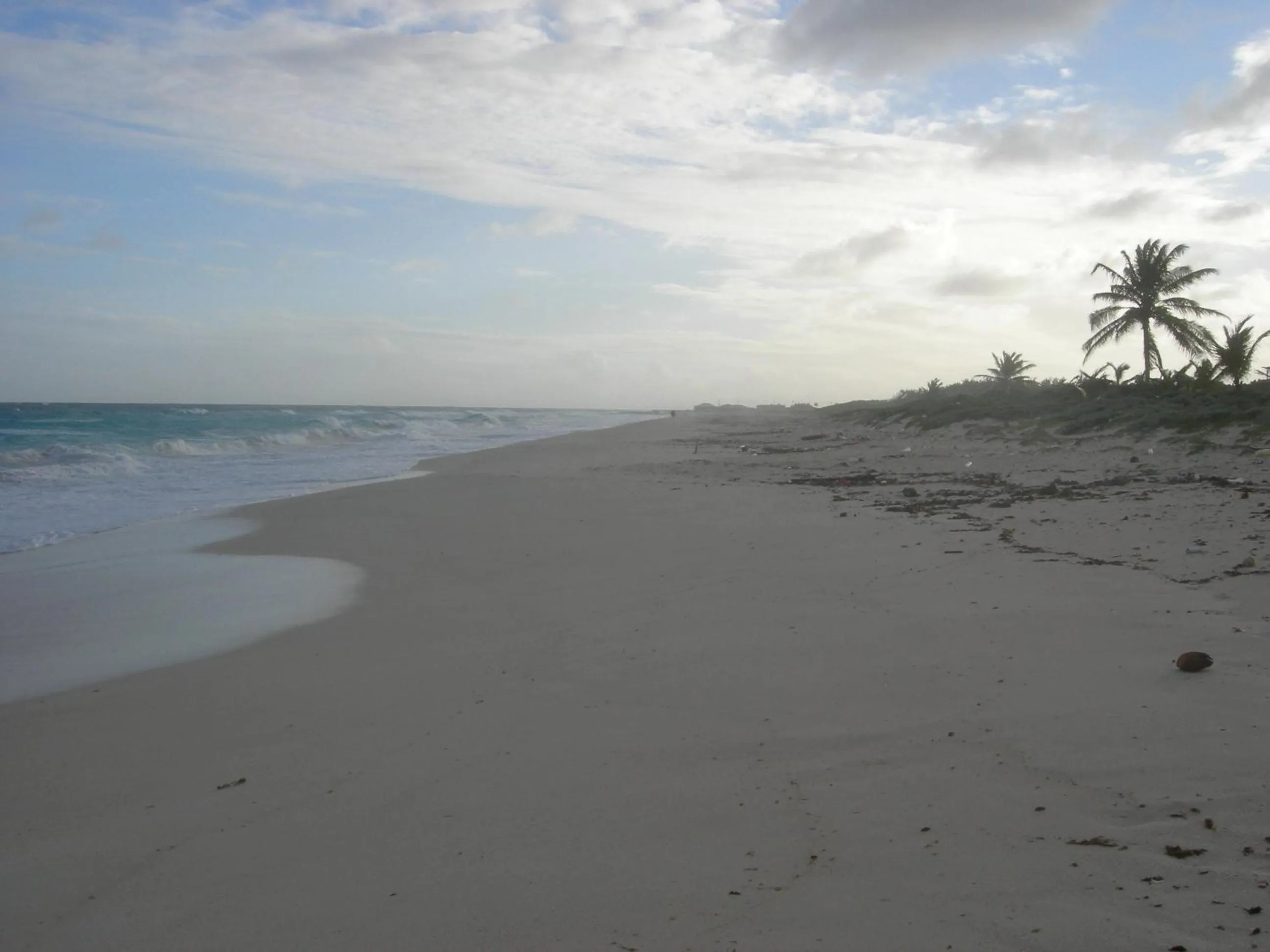 Beach in Gemini House Bed & Breakfast