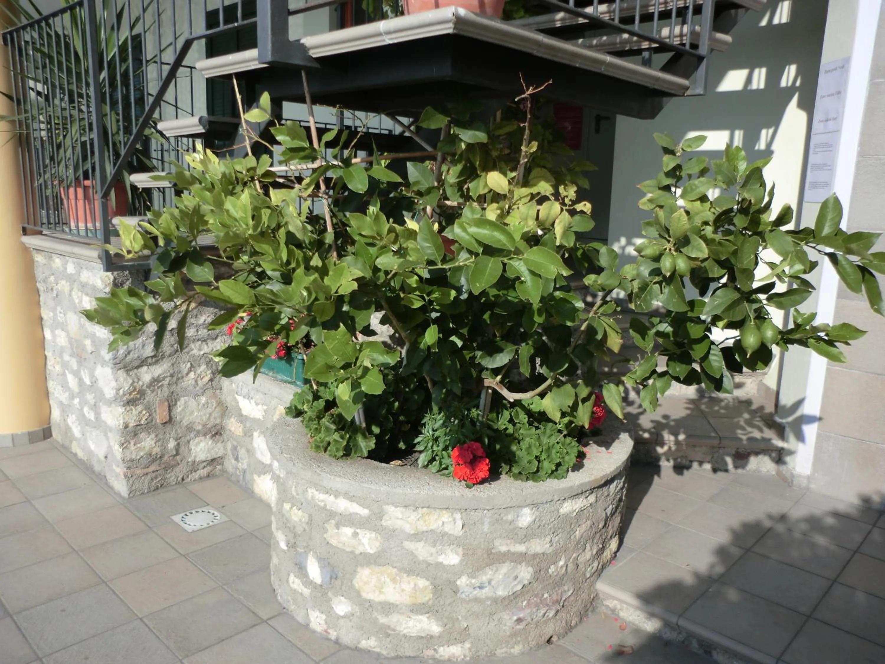 Other in Hotel Gallo