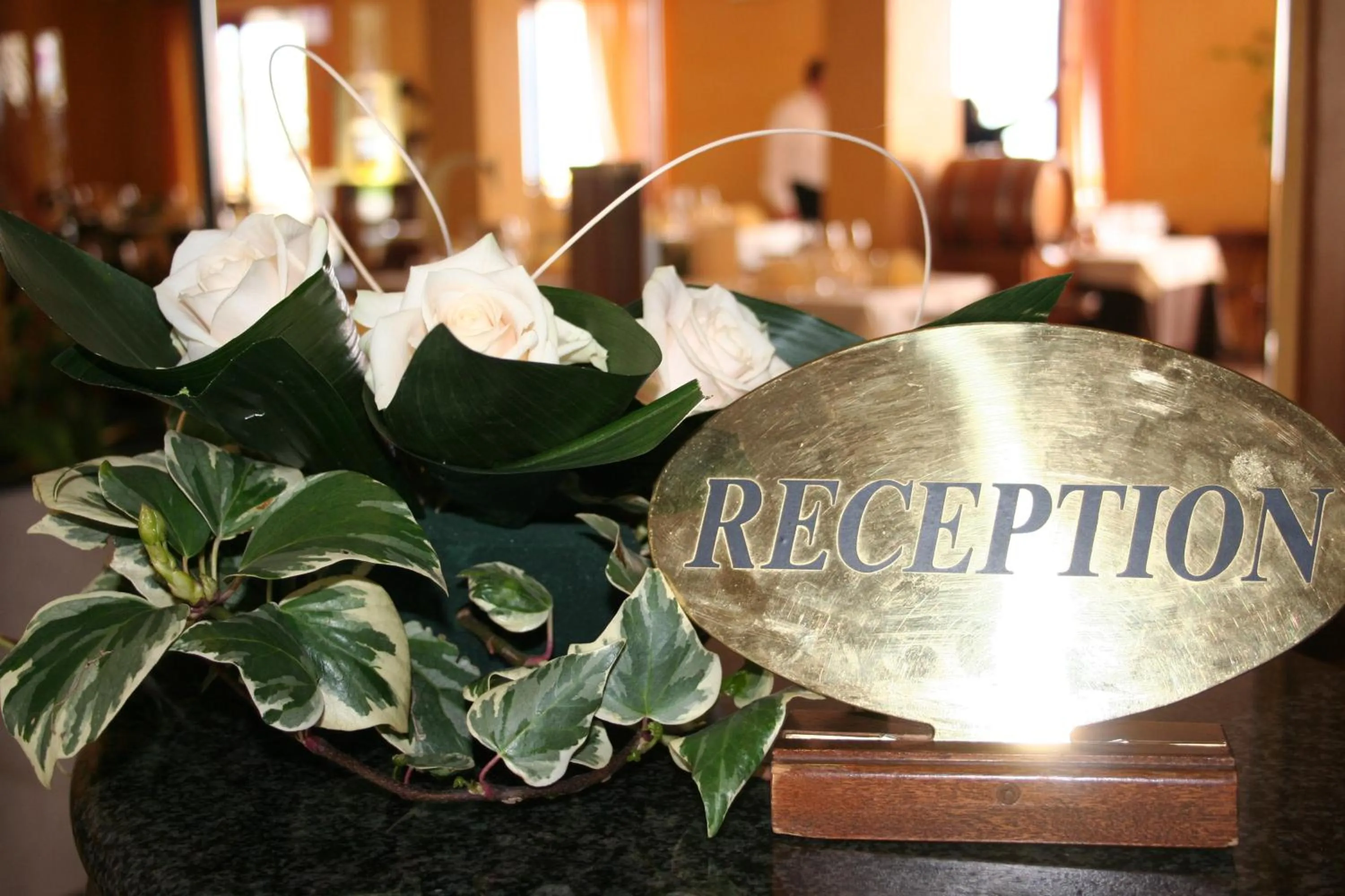 Other in Hotel Gallo