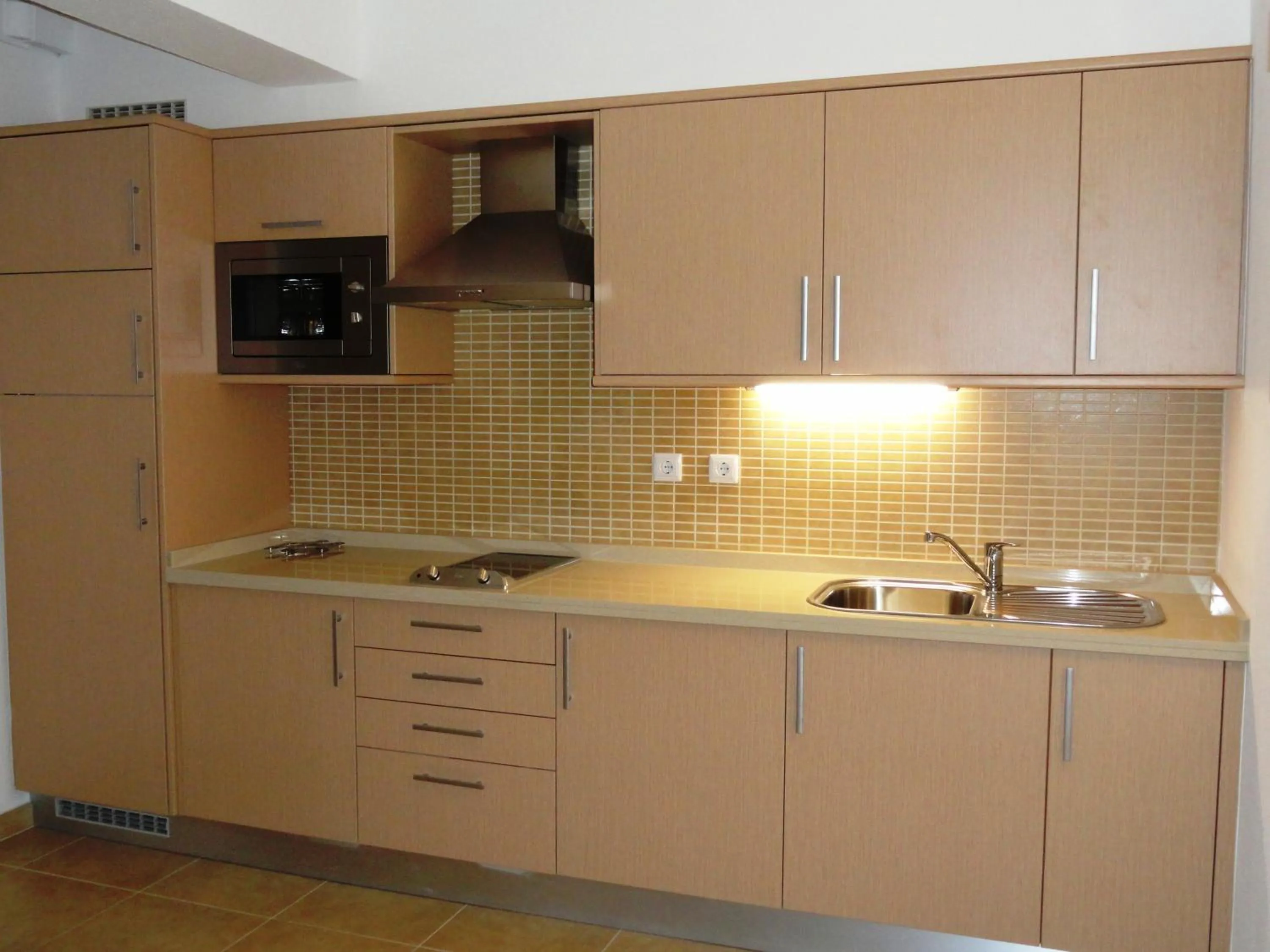 Kitchen or kitchenette in Apartamentos Guadiana