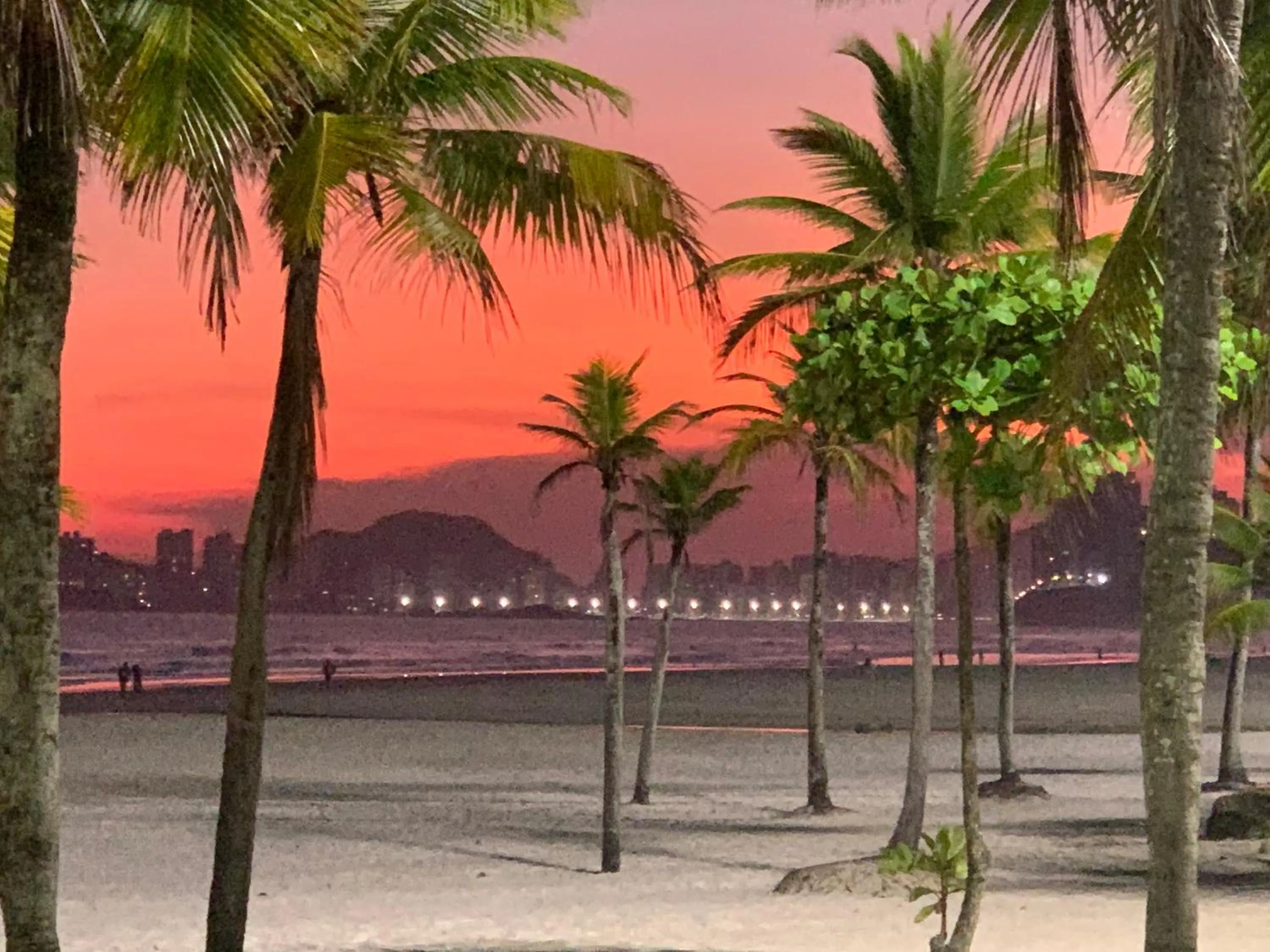 Natural landscape in Hotel The Green Ecologic