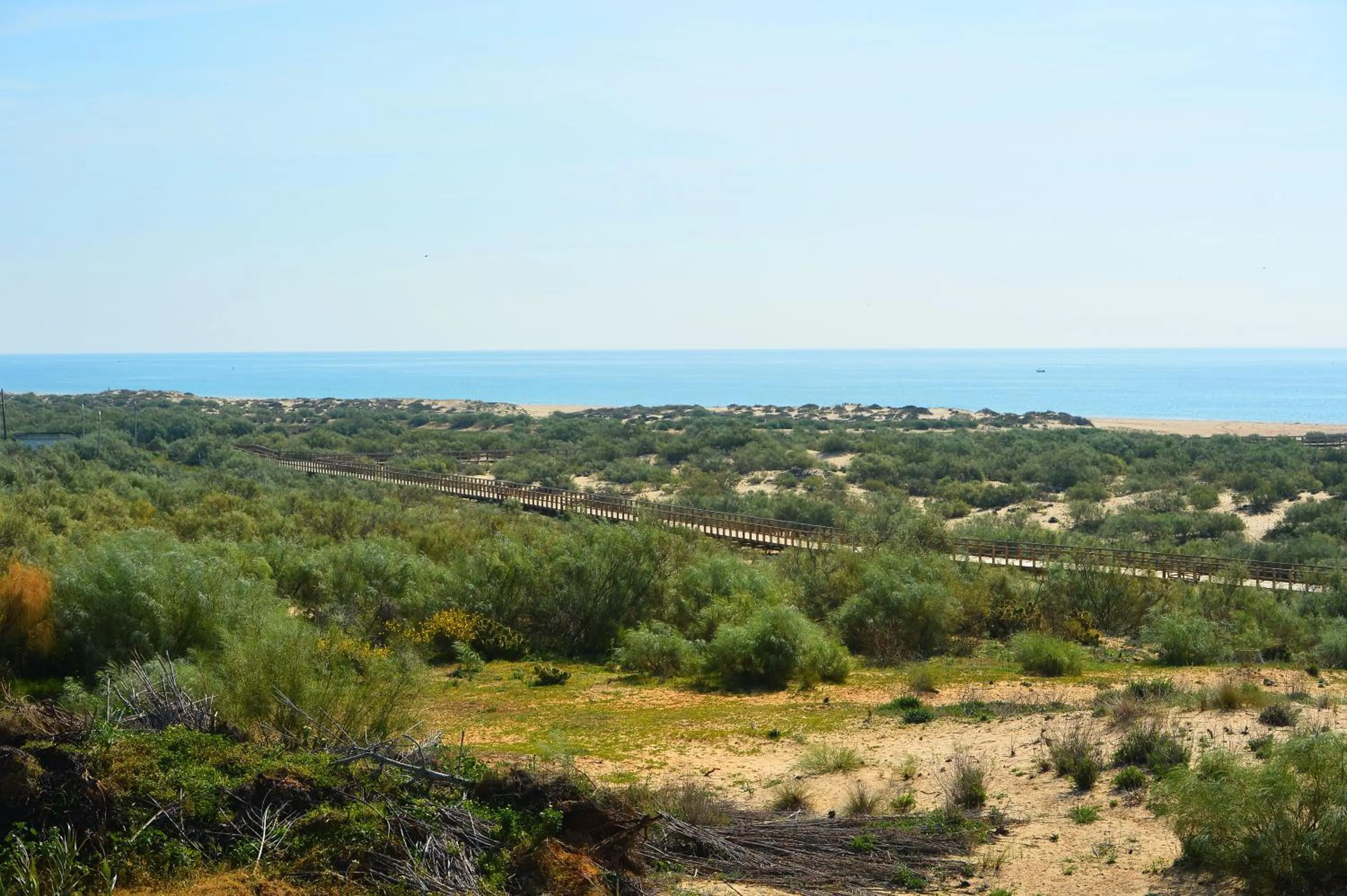Beach in Praia da Lota Beachfront Resort - Hotel & Apartments