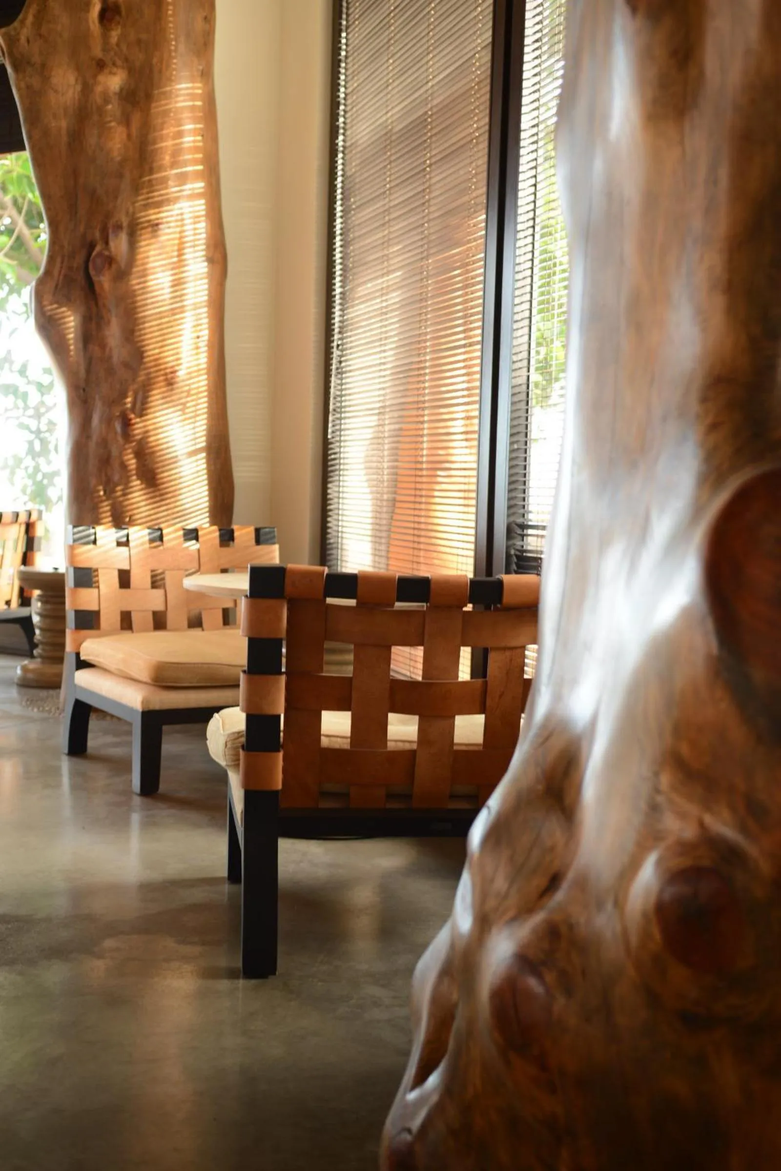 Other in Nayara Hangaroa