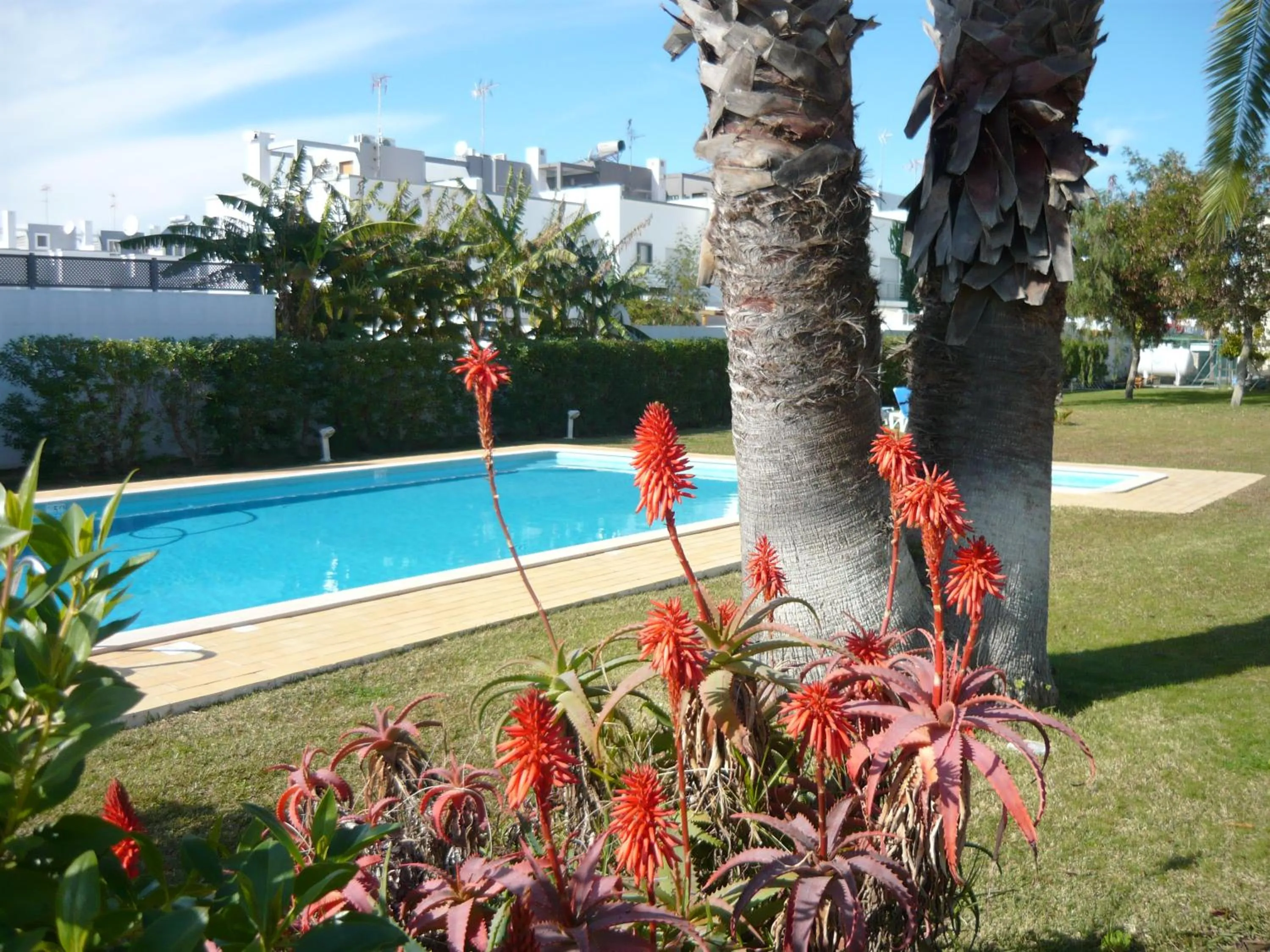 Garden in Praia da Lota Resort – Beachfront Hotel