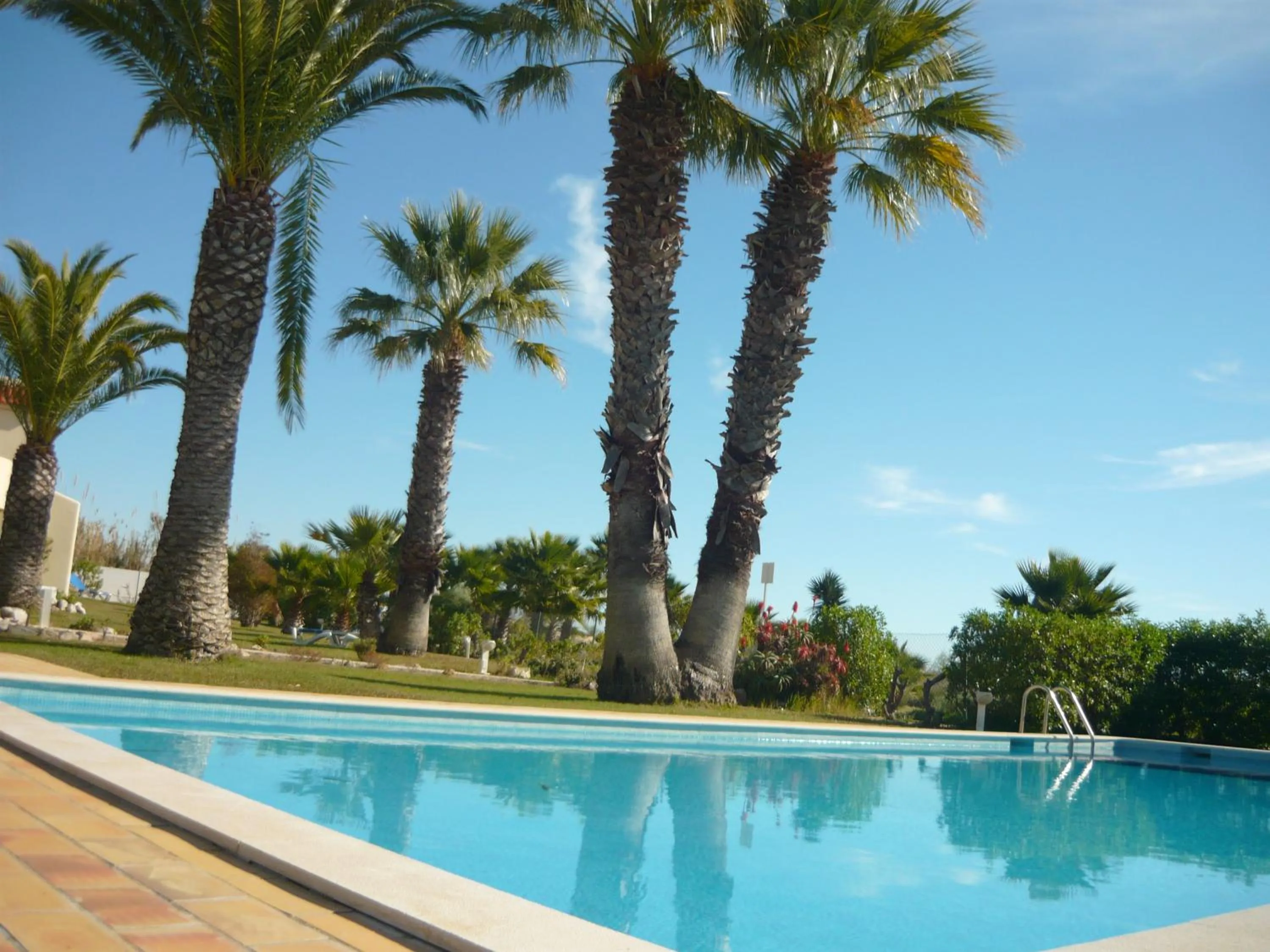 Garden in Praia da Lota Resort – Beachfront Hotel