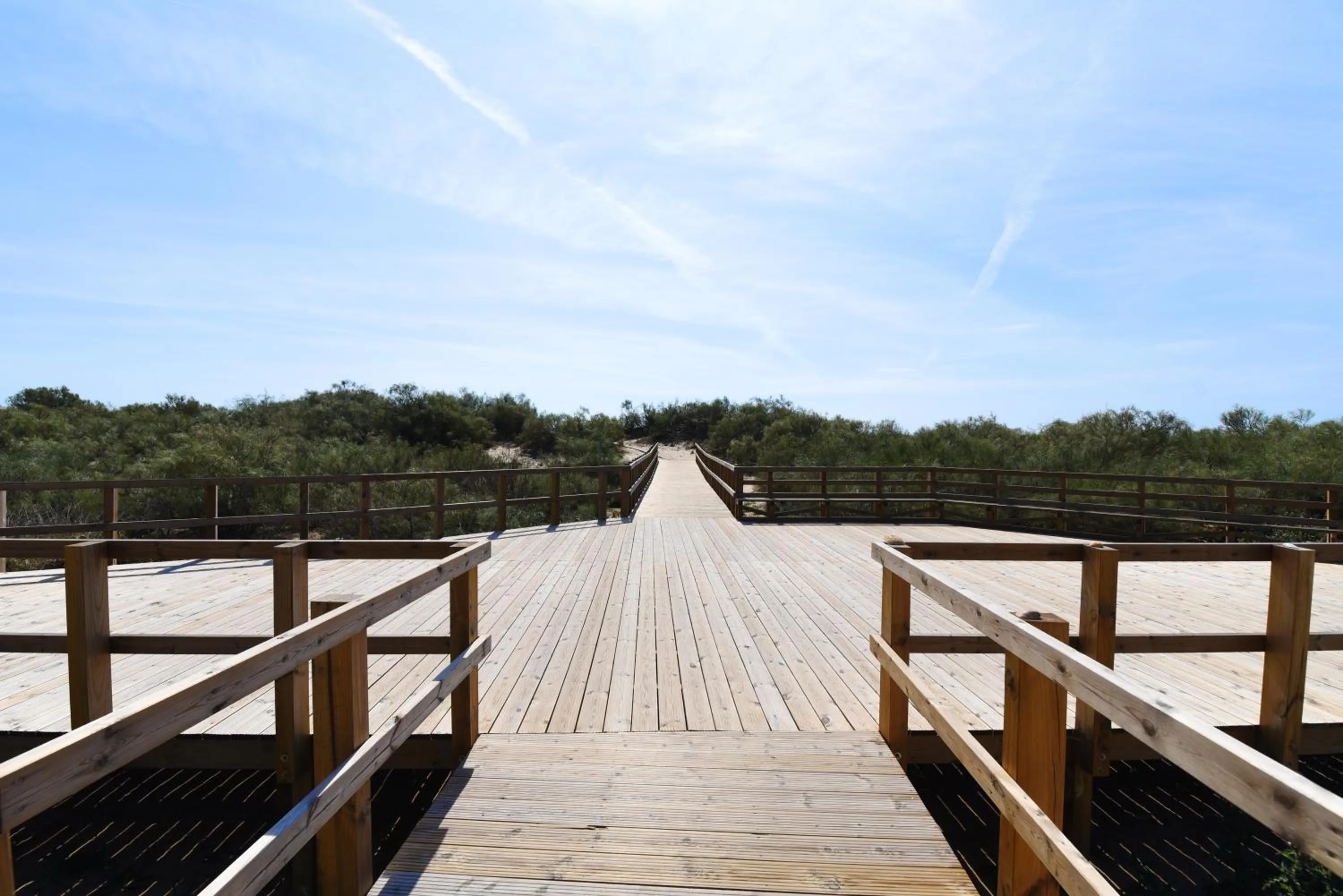 Other in Praia da Lota Resort – Beachfront Hotel