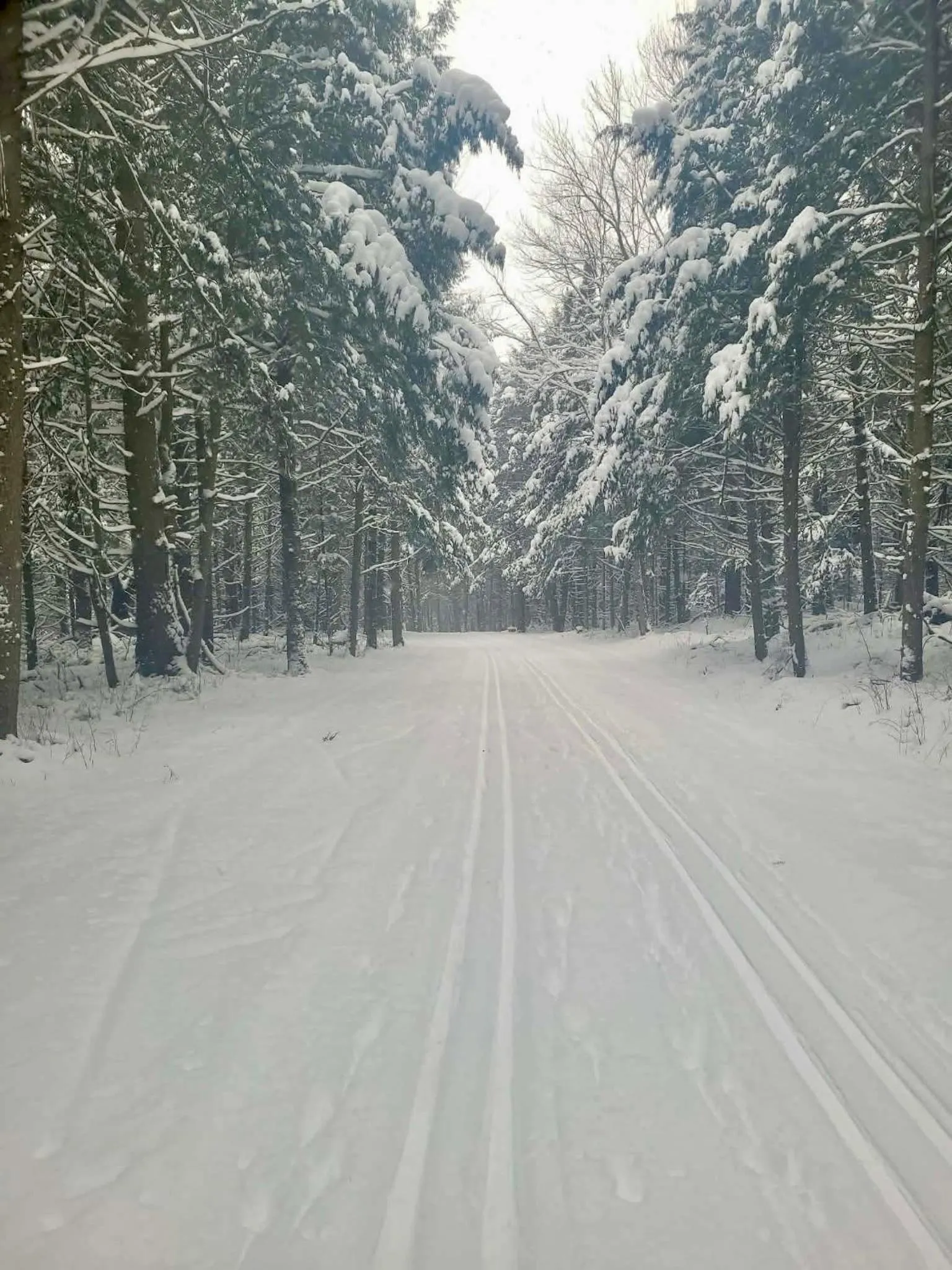 Au Gré Du Temps - Gîte B&B